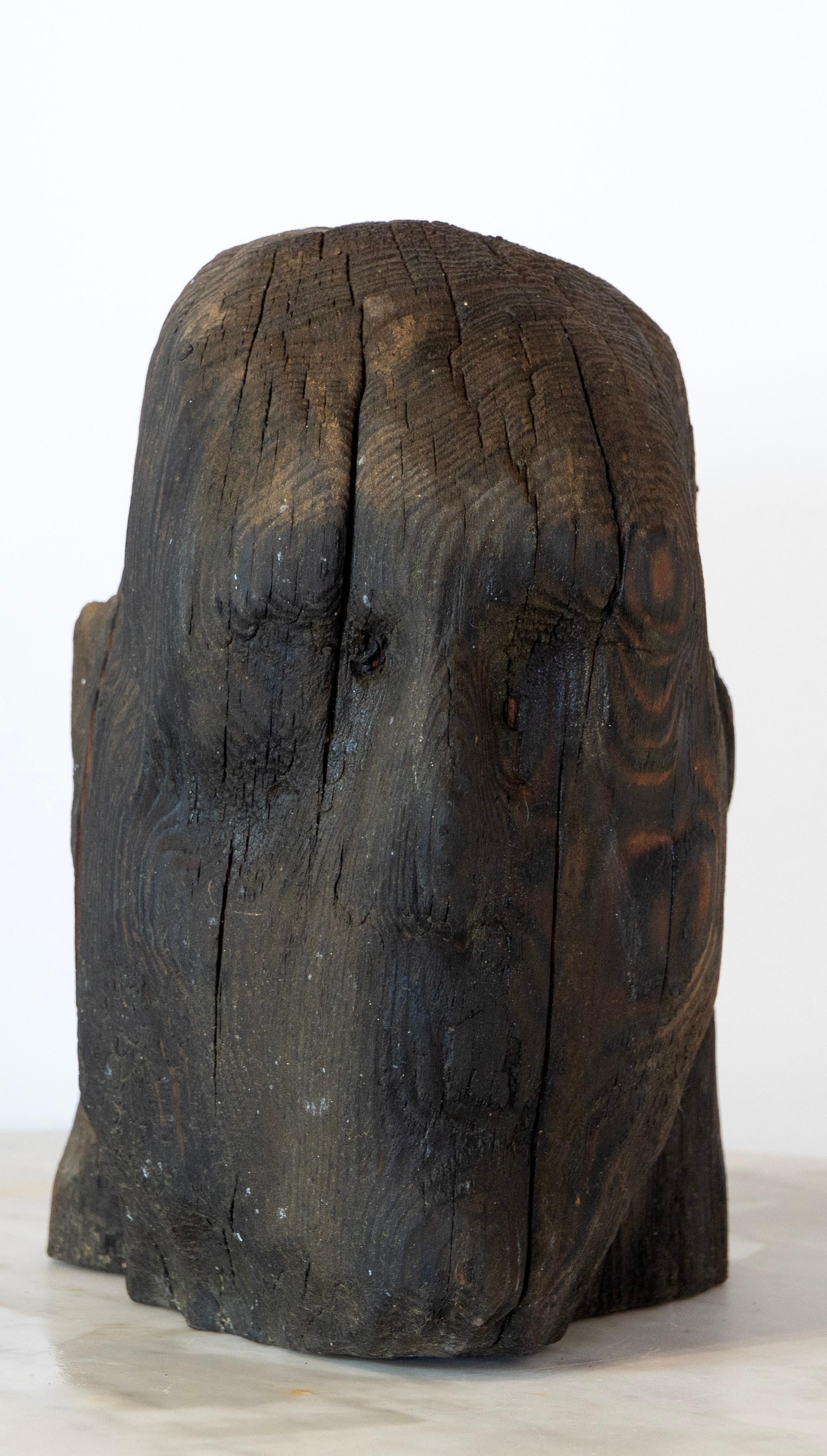 Charred Pine Head II. Yakisugi Burnt-Wood Sculpture, Pyrolyzed Wooden Bust For Sale 10