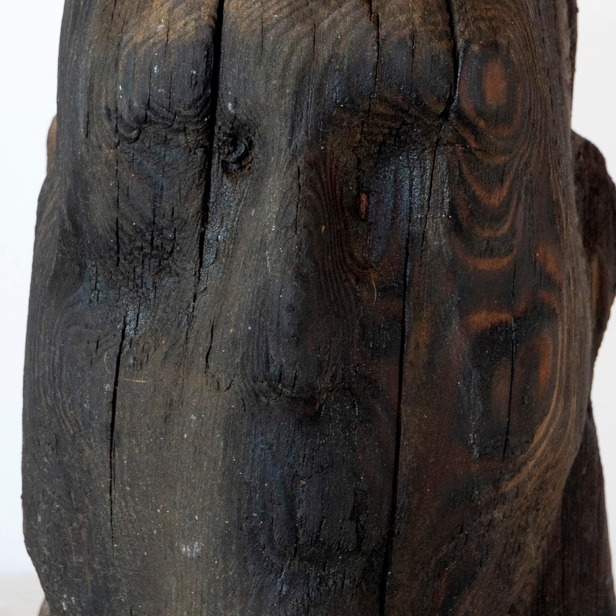 Charred Pine Head II. Yakisugi Burnt-Wood Sculpture, Pyrolyzed Wooden Bust For Sale 11