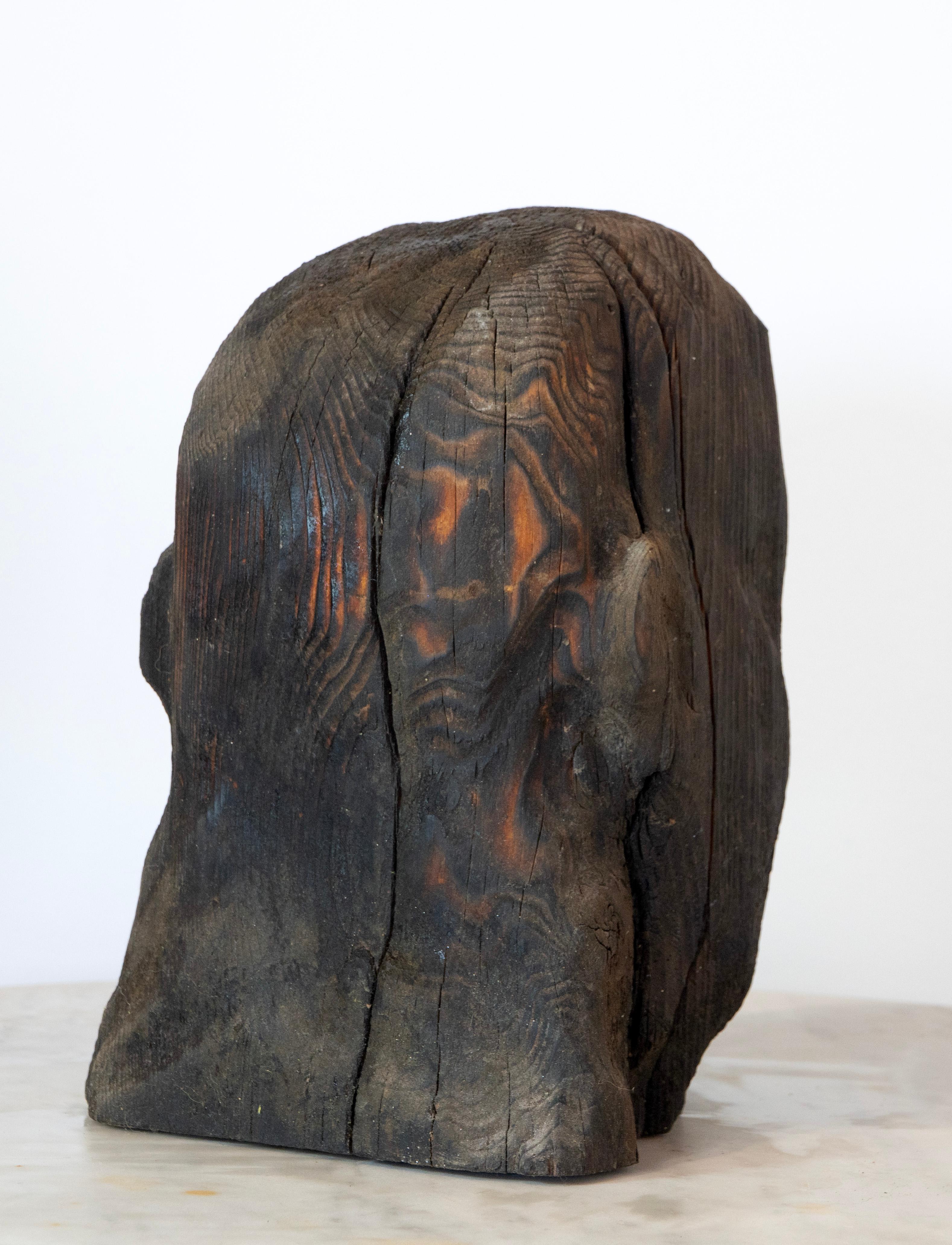 Charred Pine Head II. Yakisugi Burnt-Wood Sculpture, Pyrolyzed Wooden Bust For Sale 4