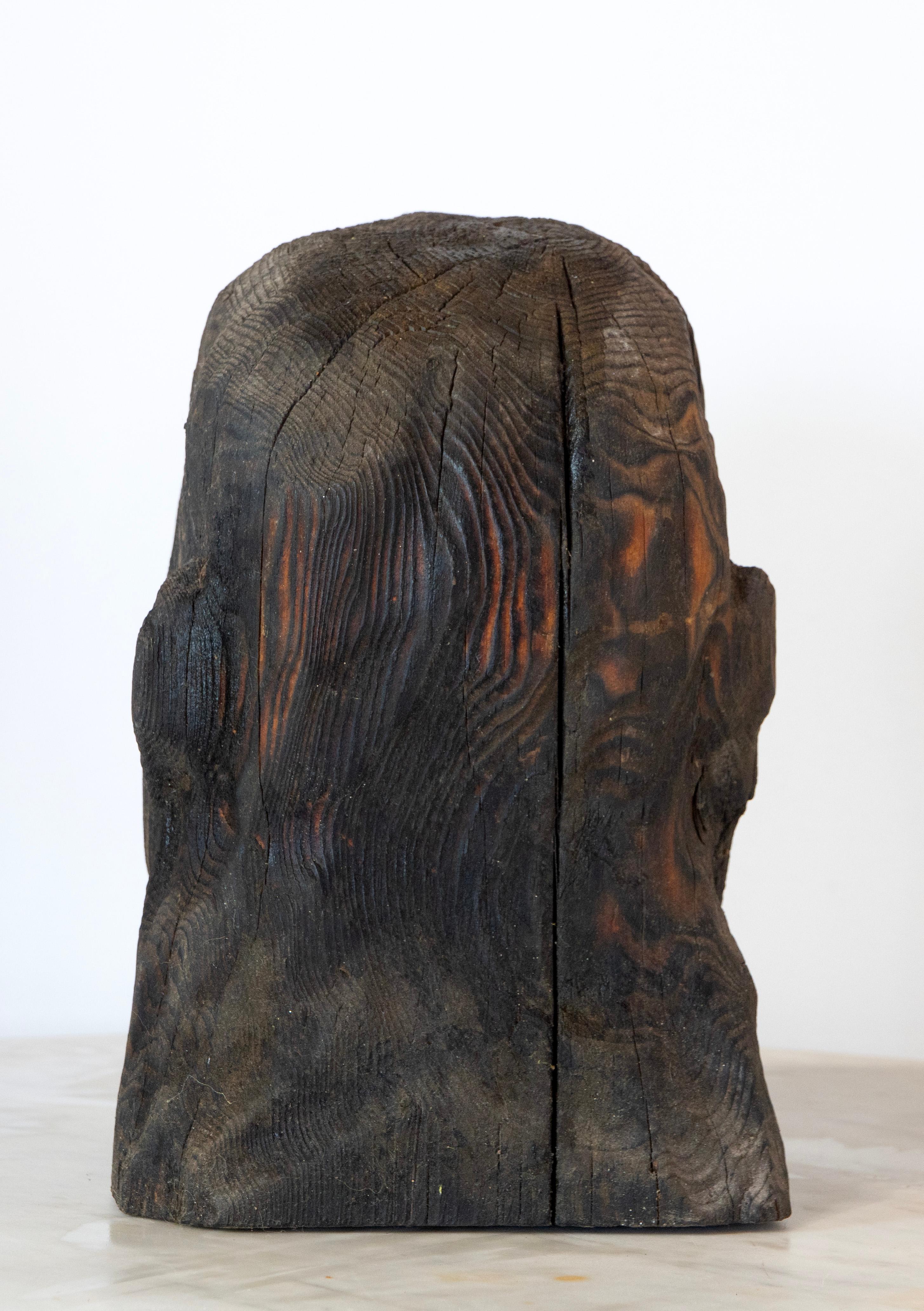 Charred Pine Head II. Yakisugi Burnt-Wood Sculpture, Pyrolyzed Wooden Bust For Sale 5