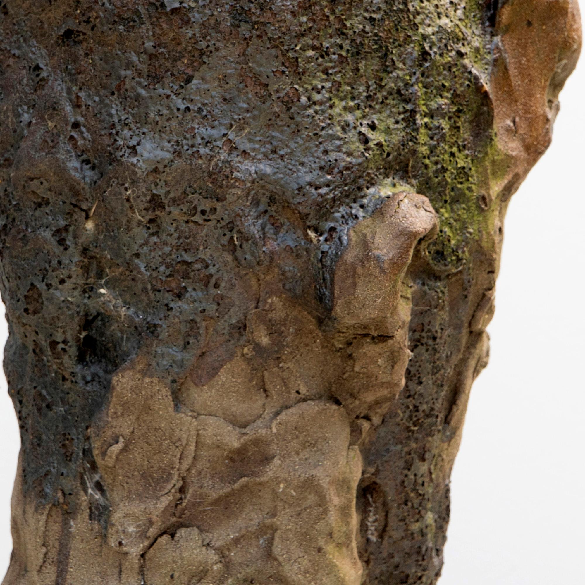 Moss-Patina Testa Kopf - Steingut Raku Keramik Skulptur, Expressionist im Angebot 7