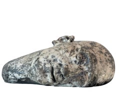 Reclining Head – White Raku Ceramic Sculpture, Organic Earthen Crackle Texture