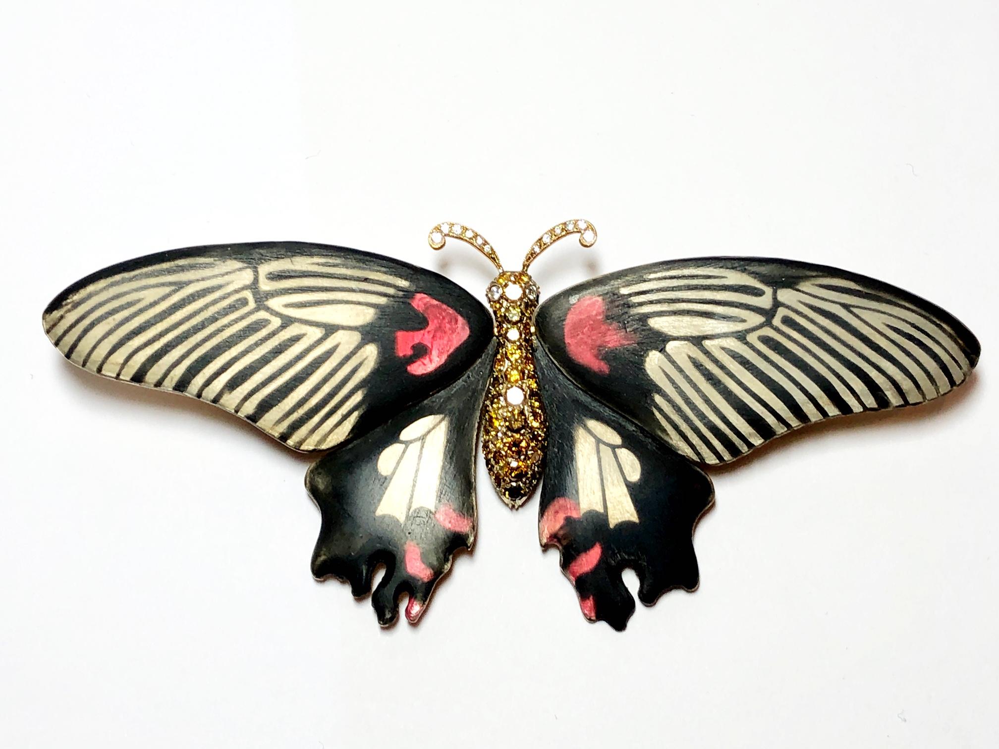 pharoah moth