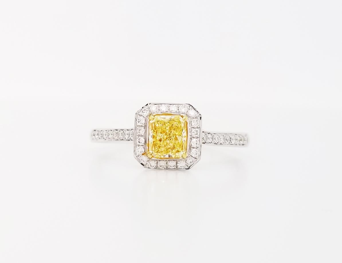 This Scarselli Classic engagement ring features 0.50 carat Fancy Yellow Radiant Cut diamond GIA certified, flanked by white round brilliant cut diamonds spread to the sides with a total of 0.15 carats. The diamonds are mounted in 18 karats white