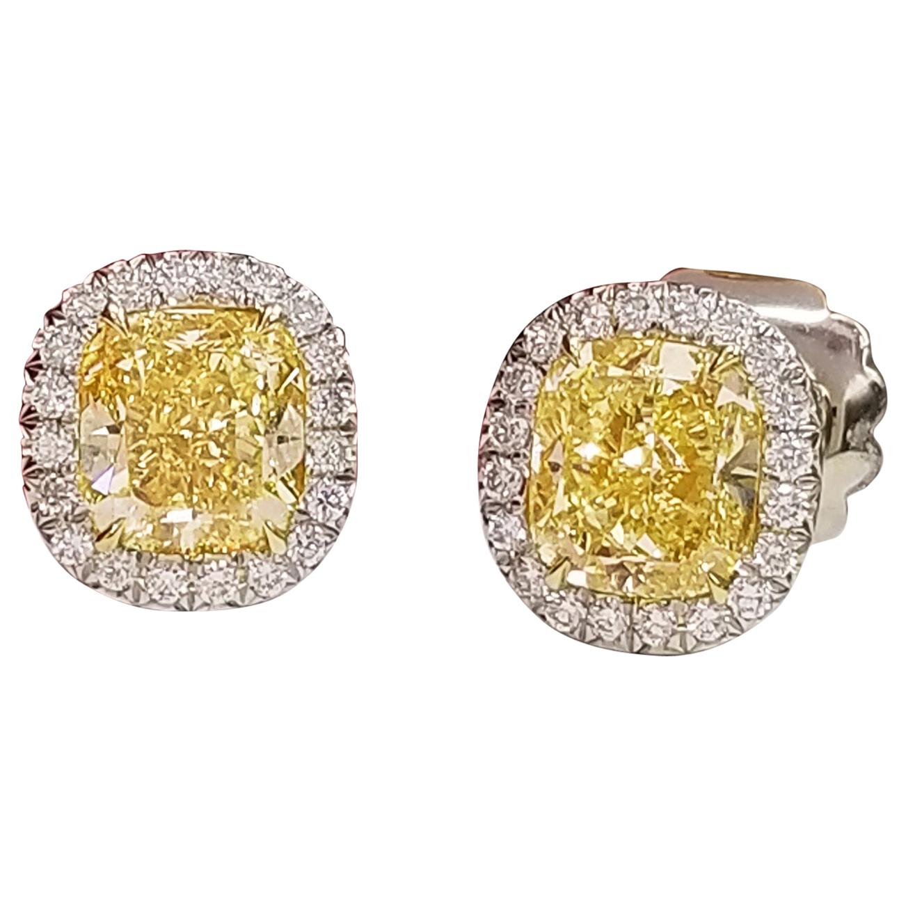 Scarselli Stud Platinum Earrings with 2 Carat Fancy Yellow Diamond Each GIA