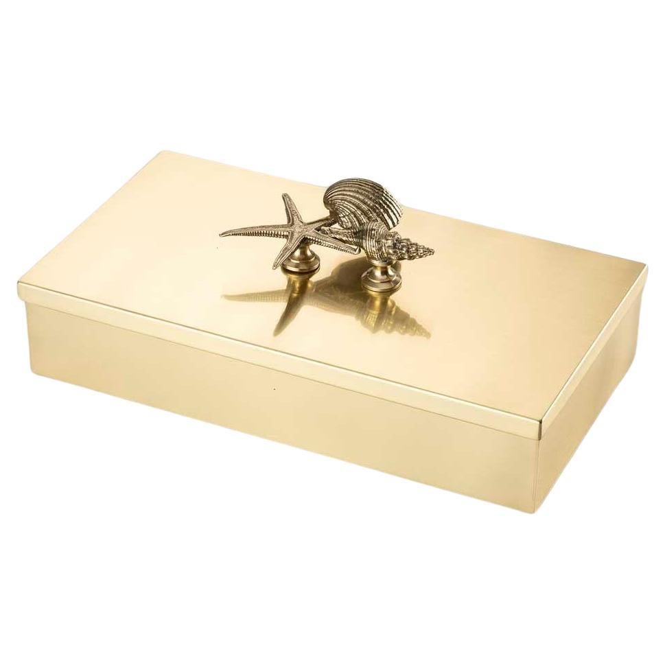 Large brass box with shell knob 