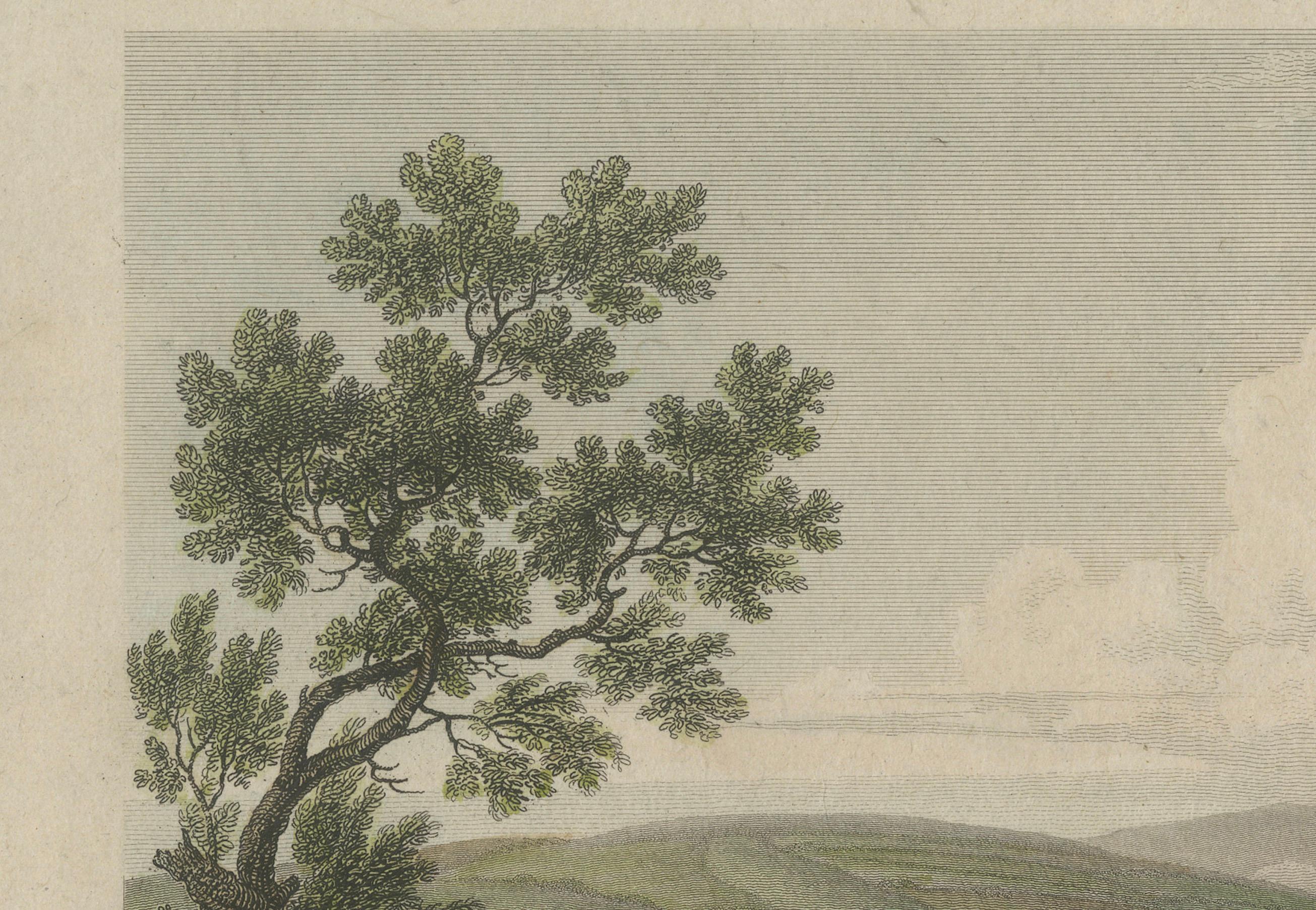 Inizio XIX secolo Vista panoramica di Penryn, Cornovaglia: Pittoresca Townes costiera del XIX secolo incisa in vendita