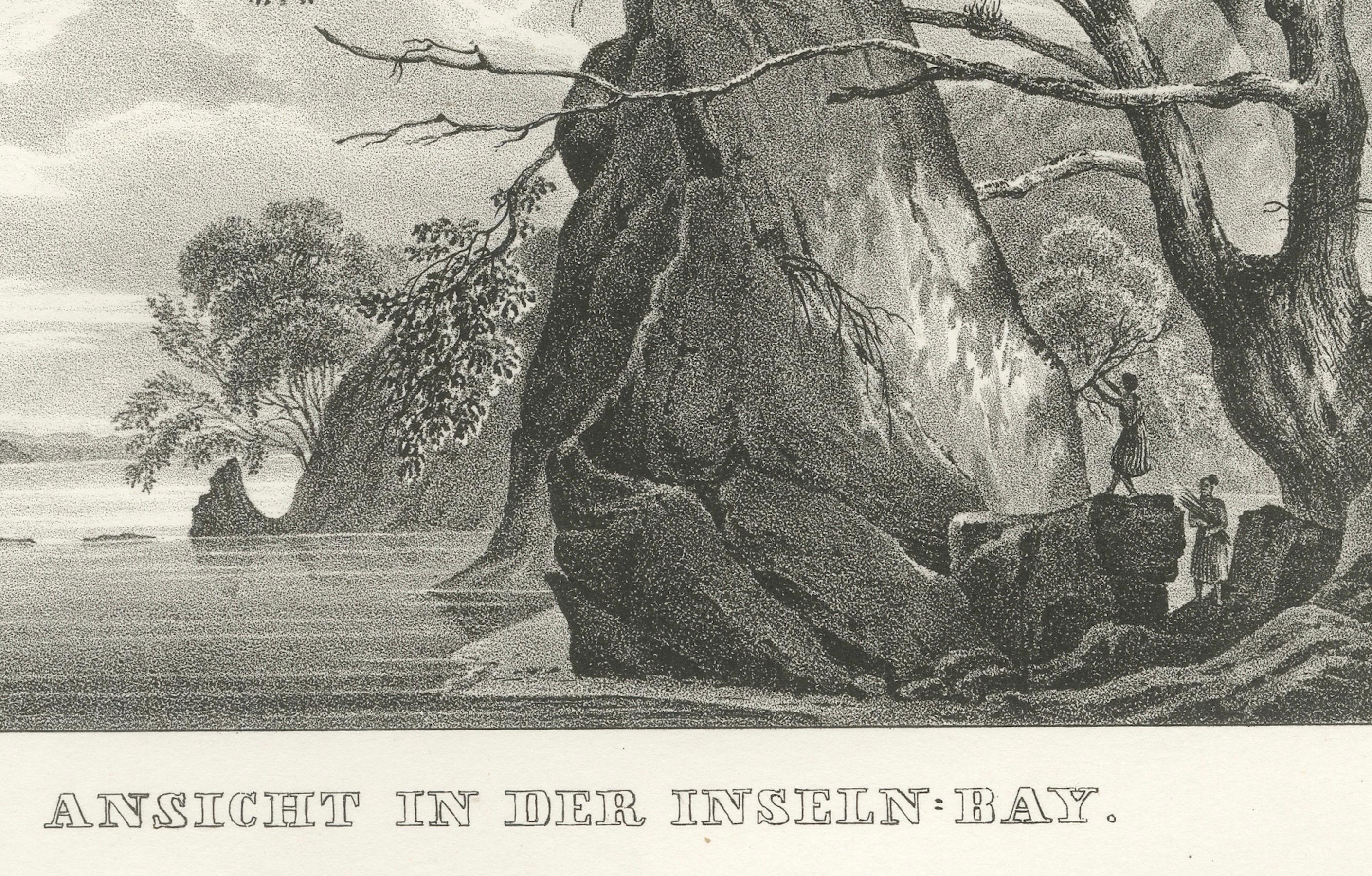 Ansichten der Inselbucht, Neuseeland, von der Astrolabe-Reise, um 1836 (Mittleres 19. Jahrhundert) im Angebot