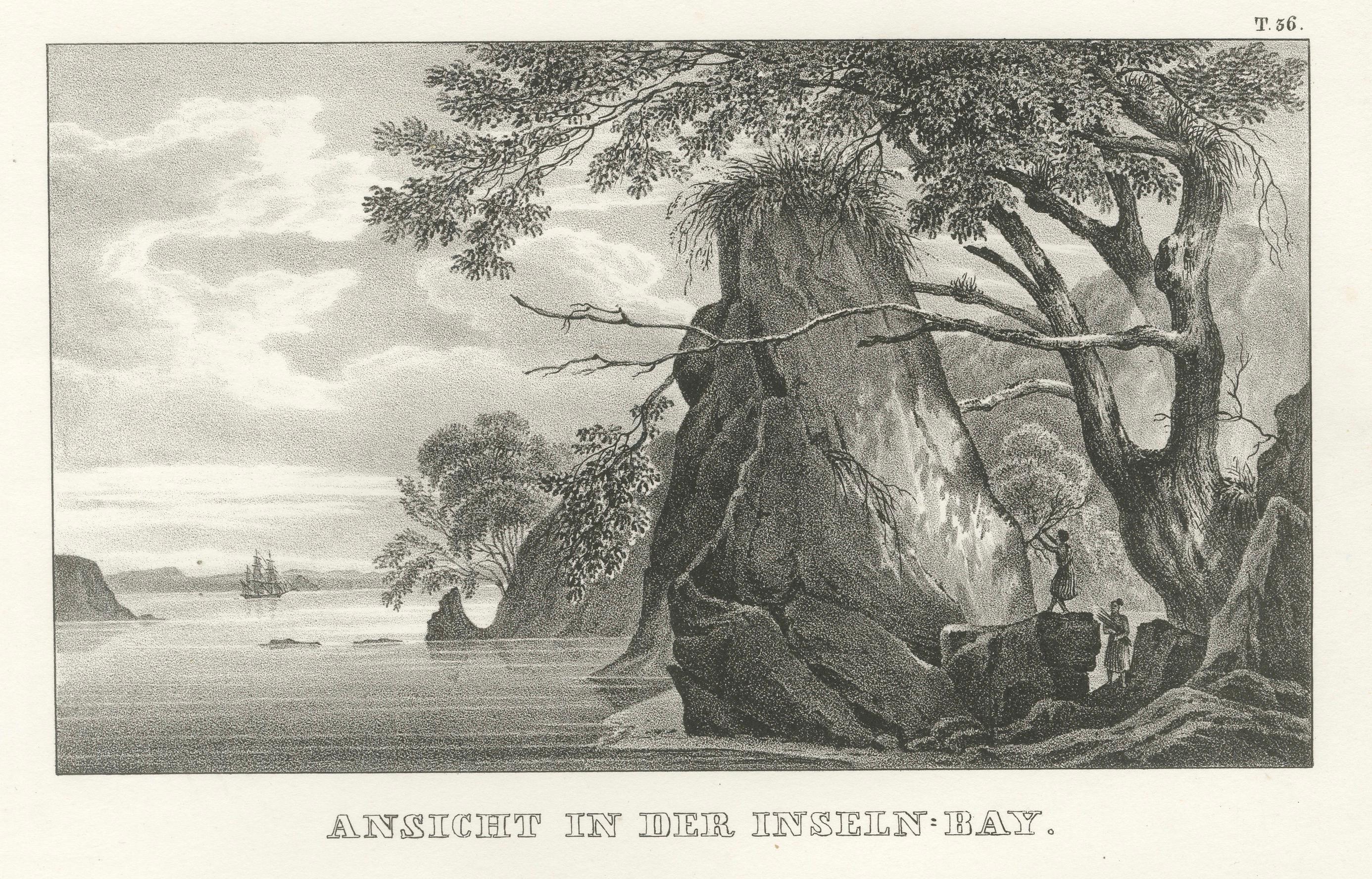 Ansichten der Inselbucht, Neuseeland, von der Astrolabe-Reise, um 1836 im Angebot 1
