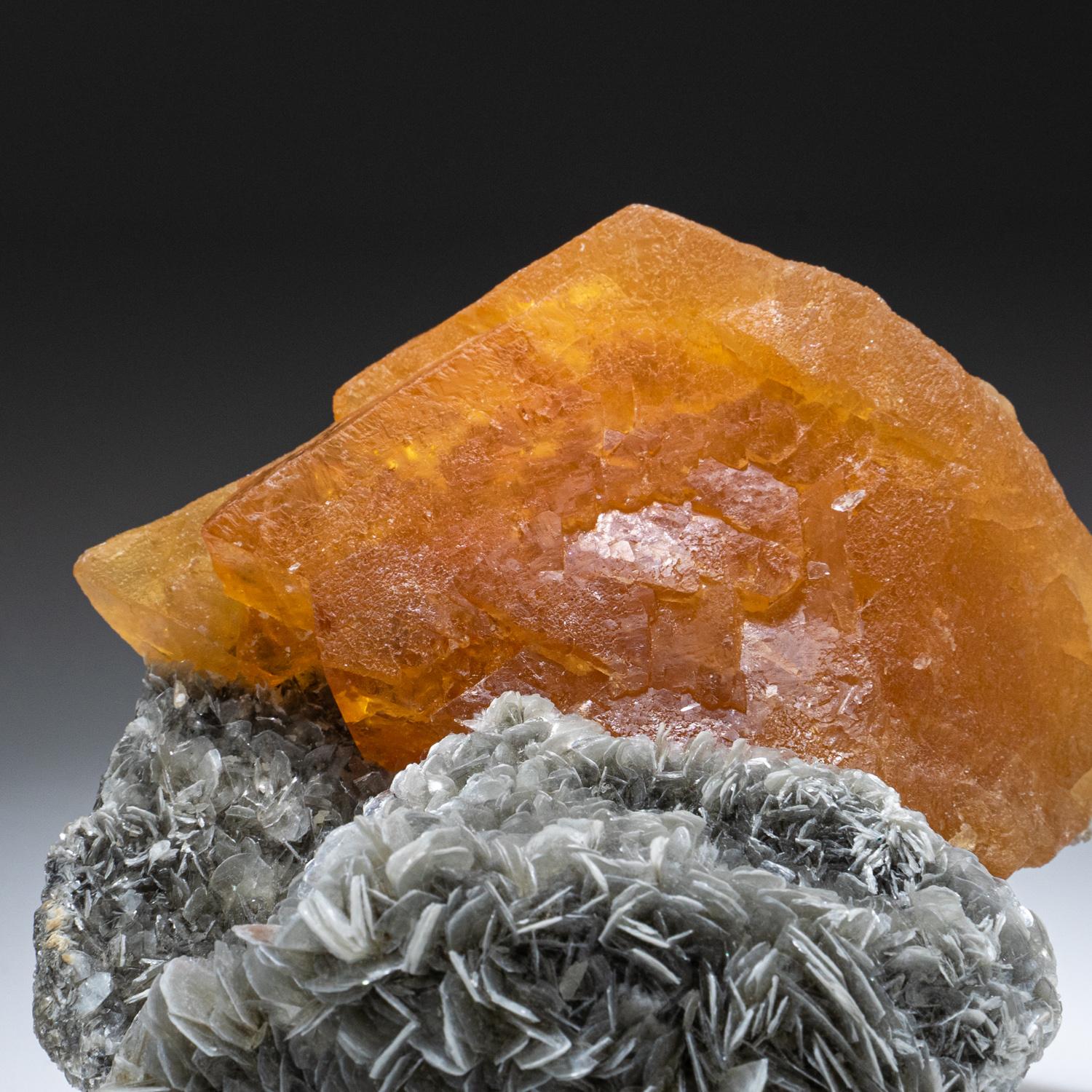 From Mt. Xueboading, Pingwu Co., Mianyang Pref., Sichuan Prov., ChinaA single crystal of bright orange octahedrals of scheelite on matrix of silvery muscovite crystals. The scheelite are fully terminate This rare occurrence of Scheelite on Muscovite