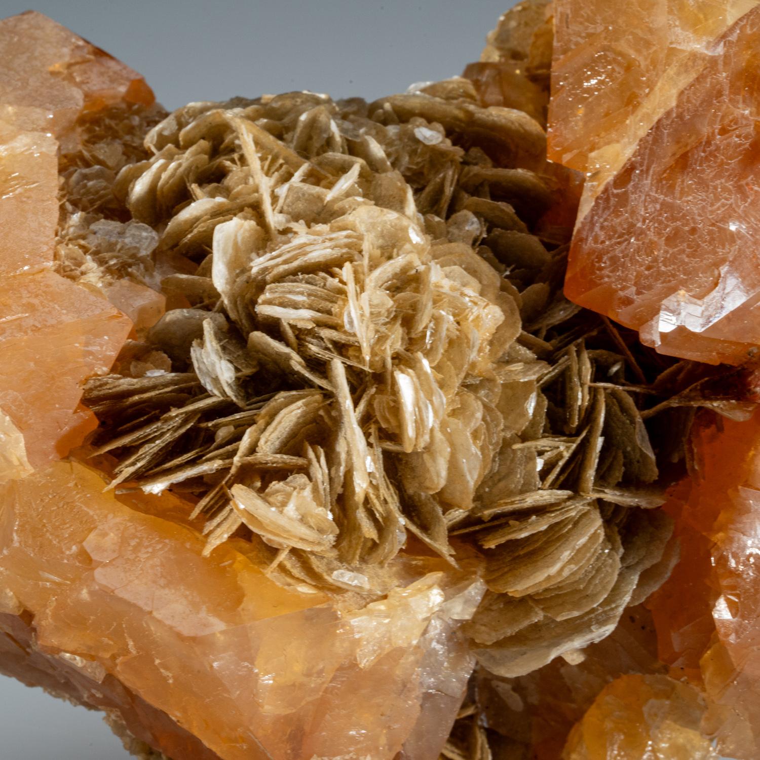 Scheelite with Muscovite from Xuebaoding Mountain near Pingwu, China In New Condition For Sale In New York, NY
