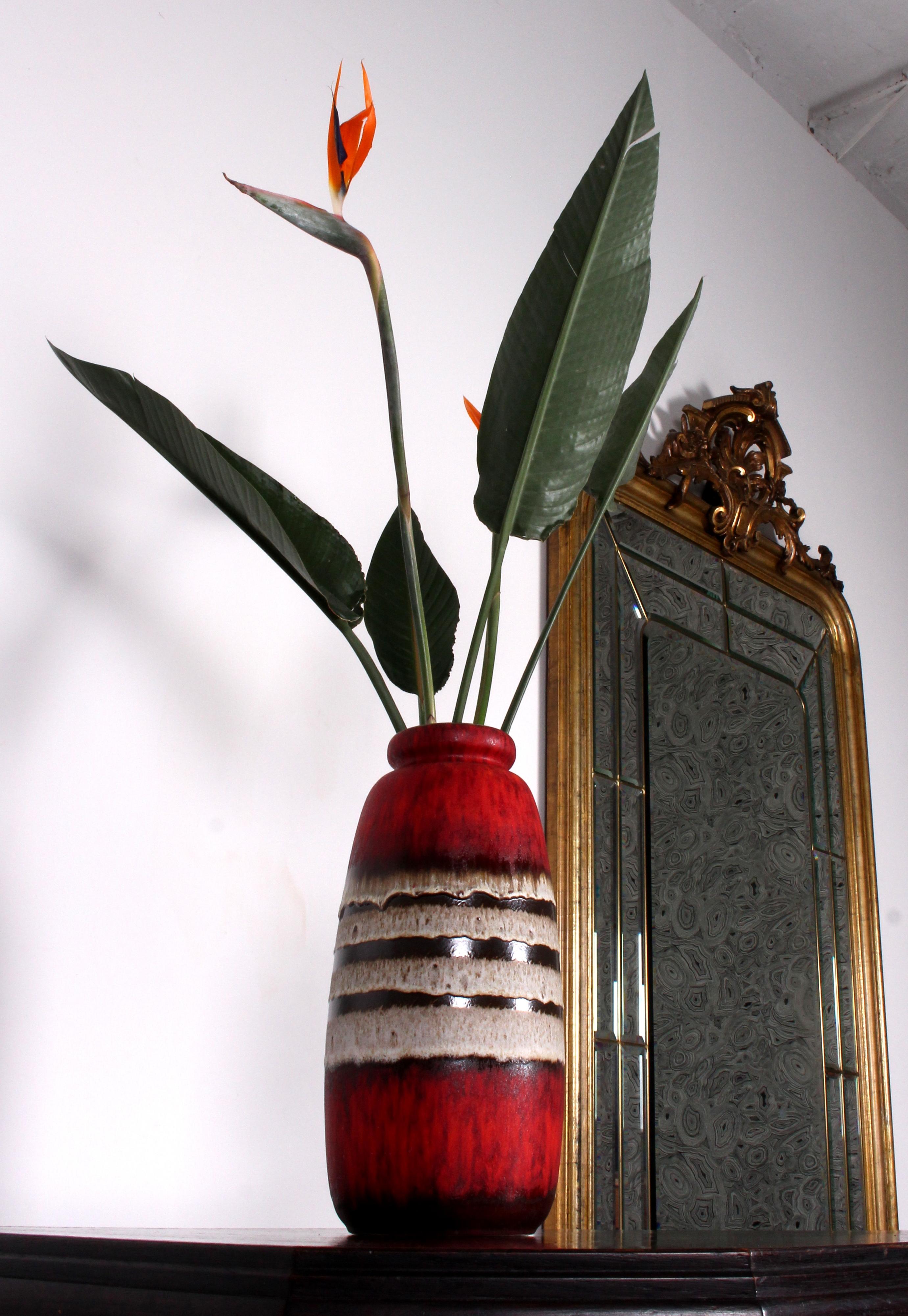 Mid-Century Modern SCHEURICH RED 70s FAT LAVA FLOOR VASE  West Germany 1970s marked 284-47 For Sale
