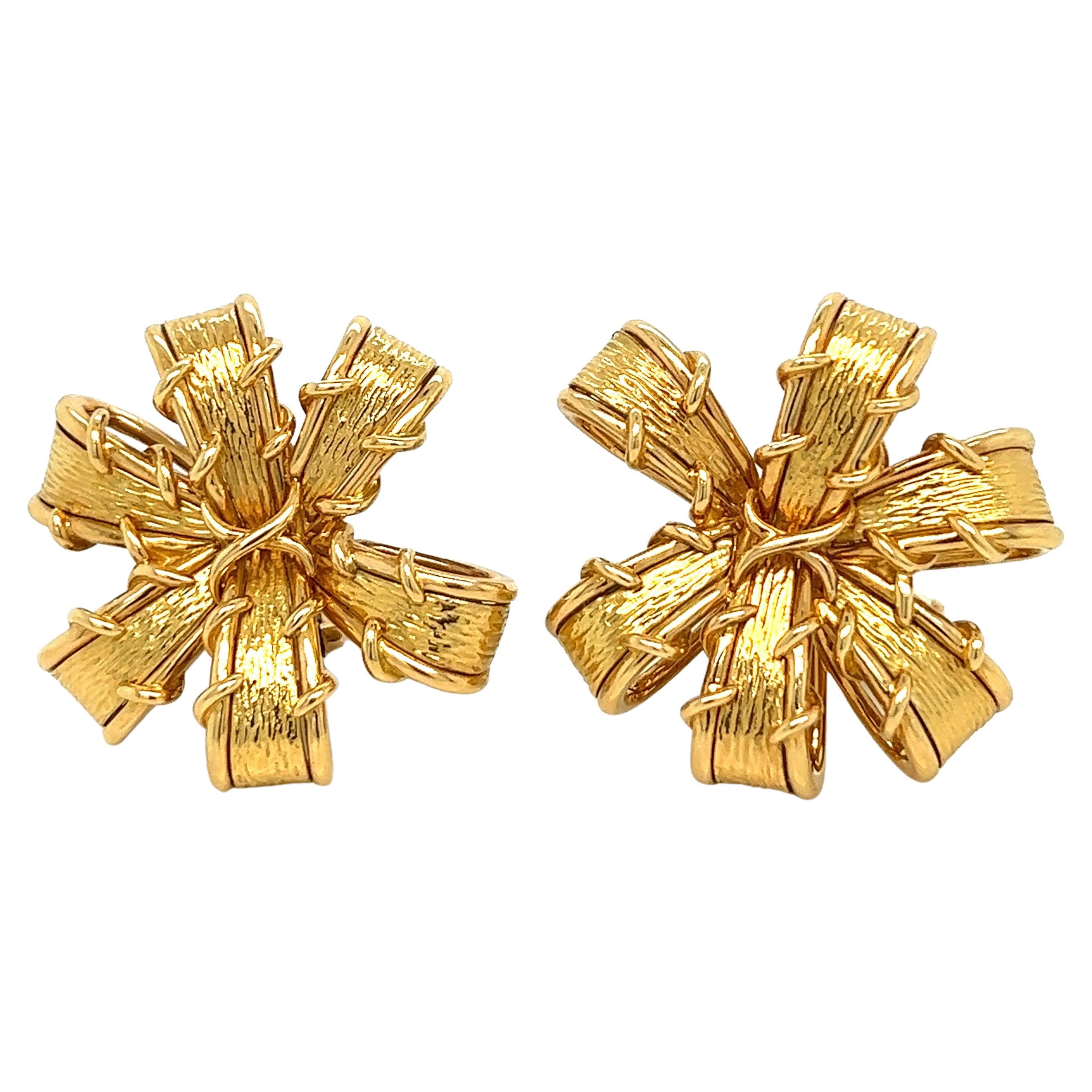 TIFFANY and CO SCHLUMBERGER Enamel Ear Clips at 1stDibs
