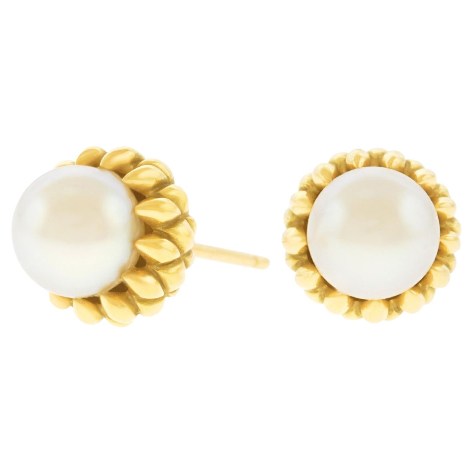 Schlumberger for Tiffany & Co. Gold Acorn Earrings