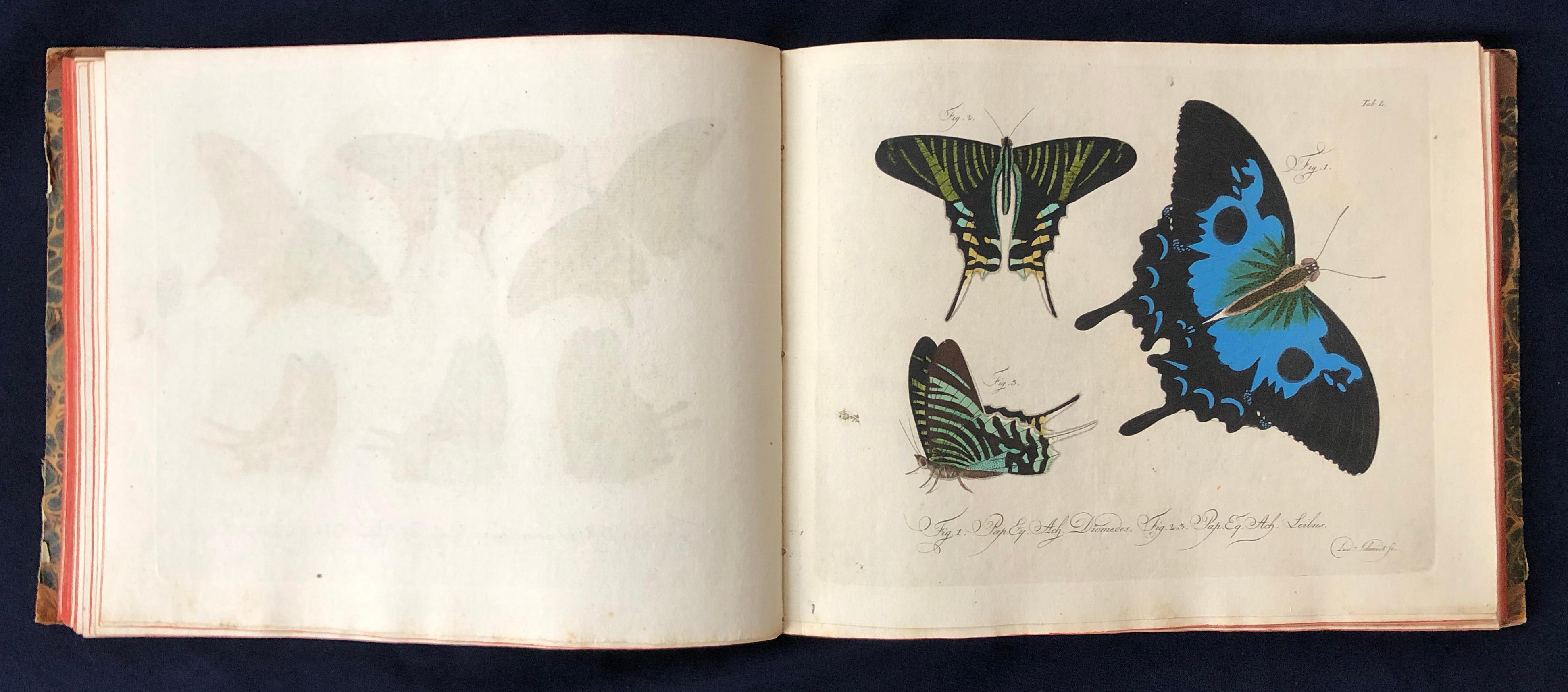 Schmetterlinge 'Butterflies' by Carl Gustav Jablonsky  & J.F.W. Herbst For Sale 4