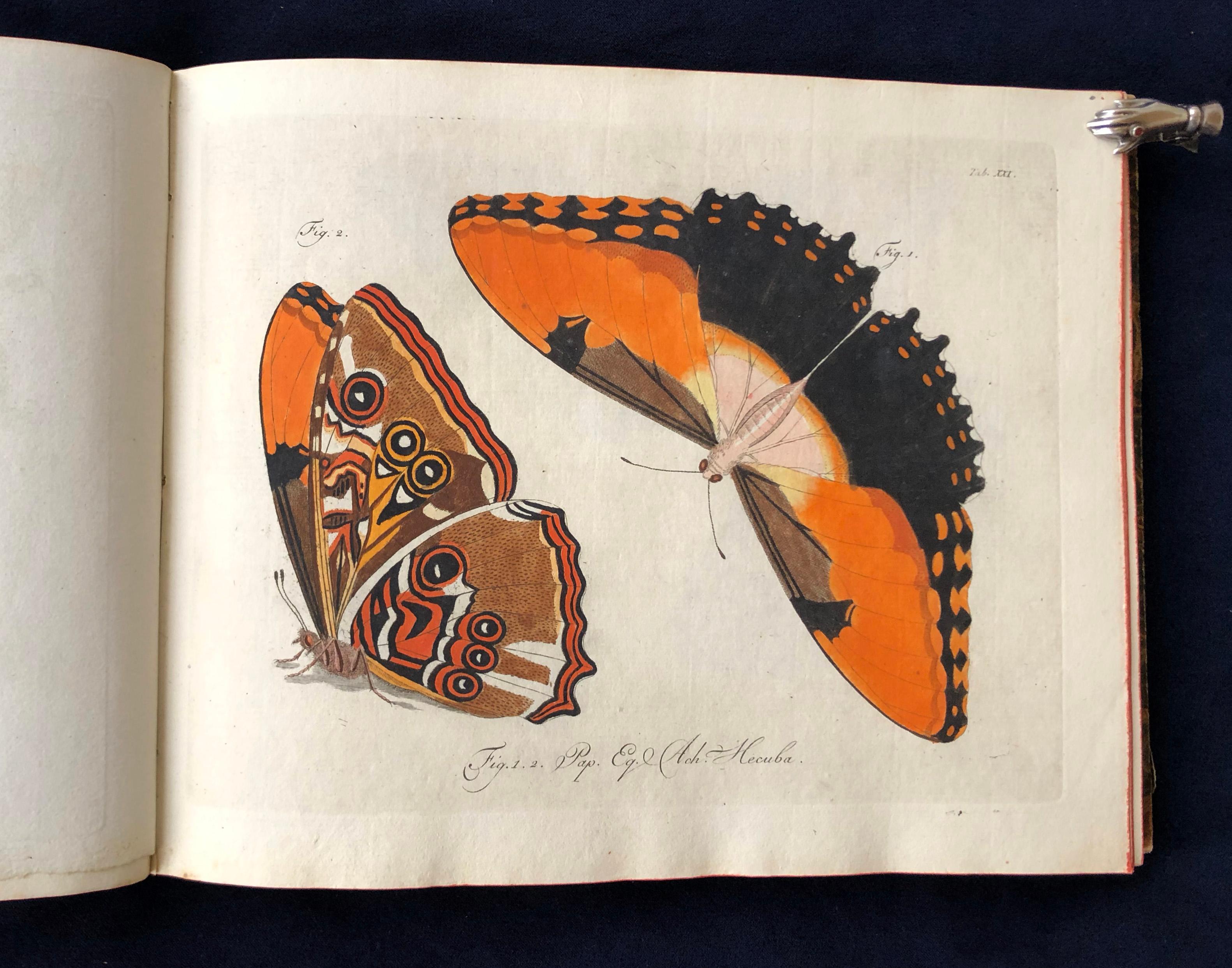 An exceedingly rare and beautifully-illustrated work by Carl Gustav Jablonsky and JFW Herbst, whose Natursystem is one of the first attempts at a complete survey of exotic and European butterflies, and edited following the system of Carl Linnaeus