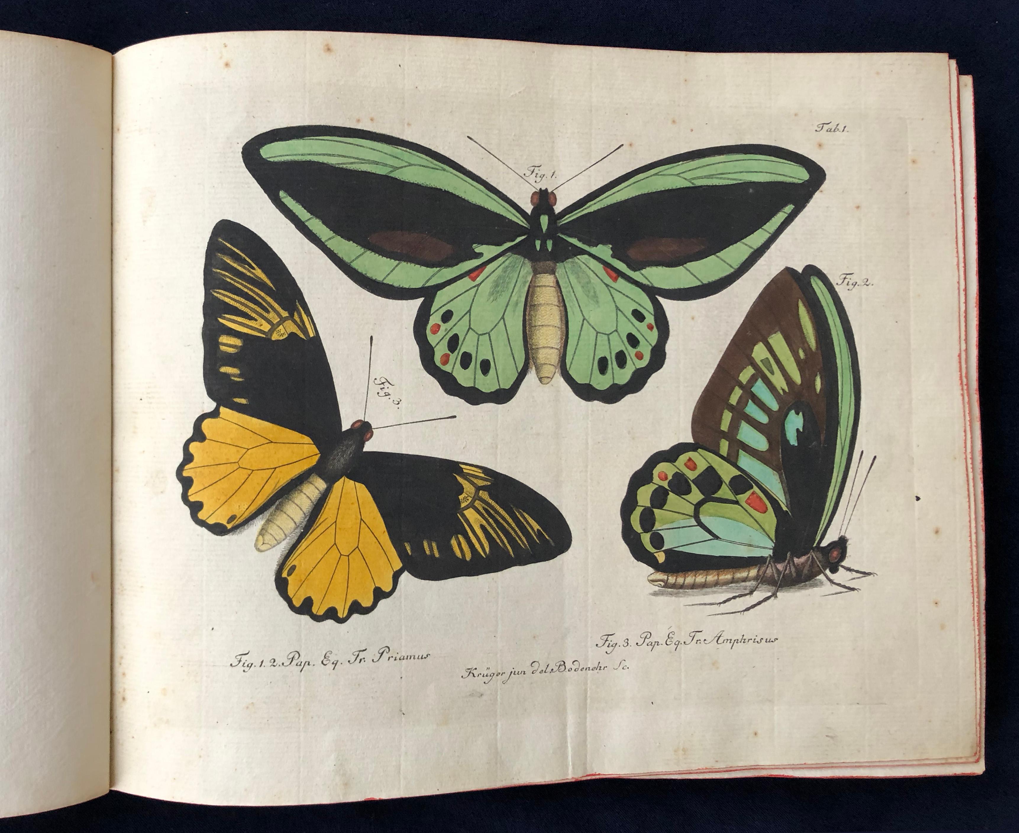 German Schmetterlinge 'Butterflies' by Carl Gustav Jablonsky  & J.F.W. Herbst For Sale