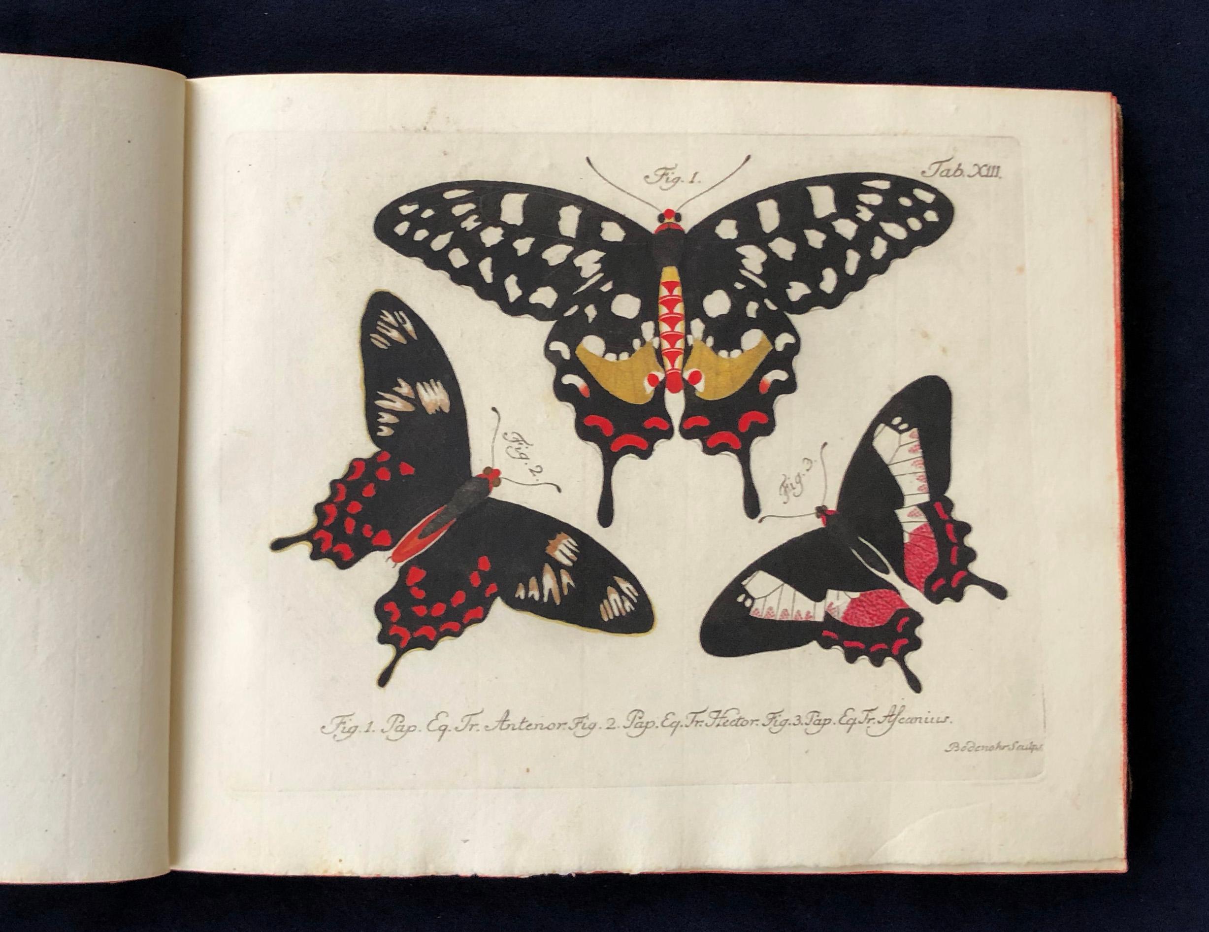 Schmetterlinge 'Butterflies' by Carl Gustav Jablonsky  & J.F.W. Herbst In Good Condition For Sale In Middletown, NY