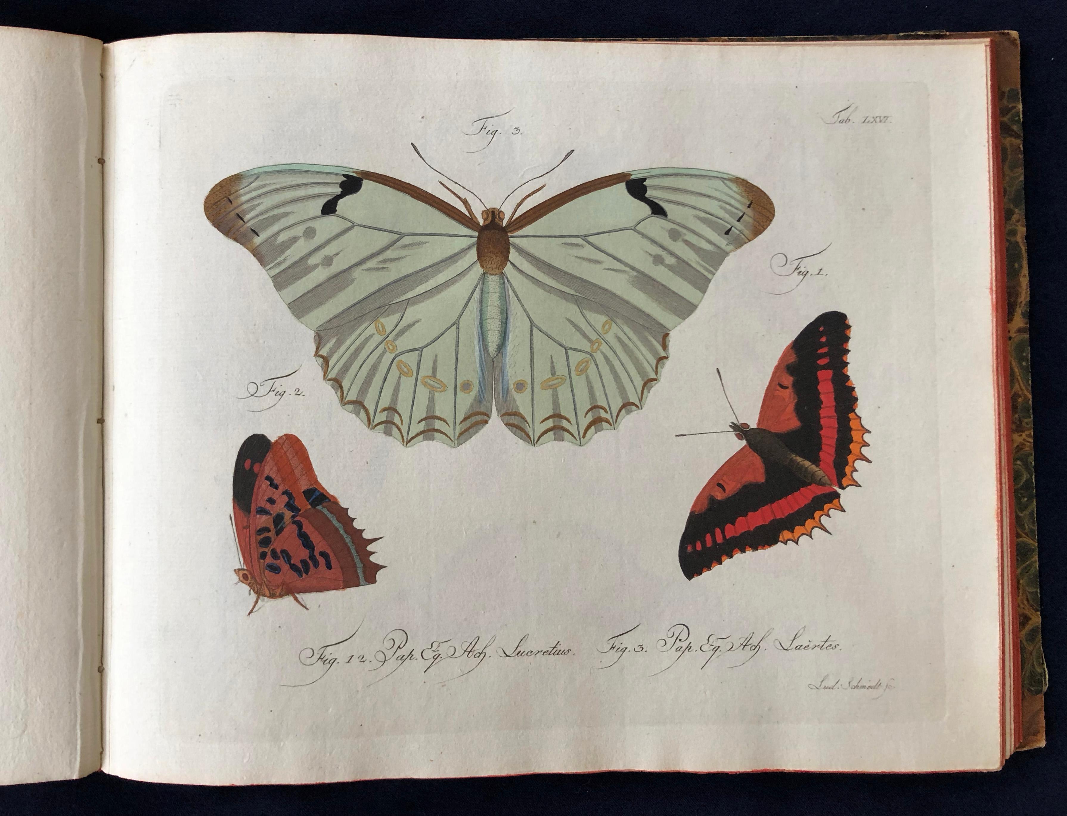Schmetterlinge 'Butterflies' by Carl Gustav Jablonsky  & J.F.W. Herbst For Sale 1