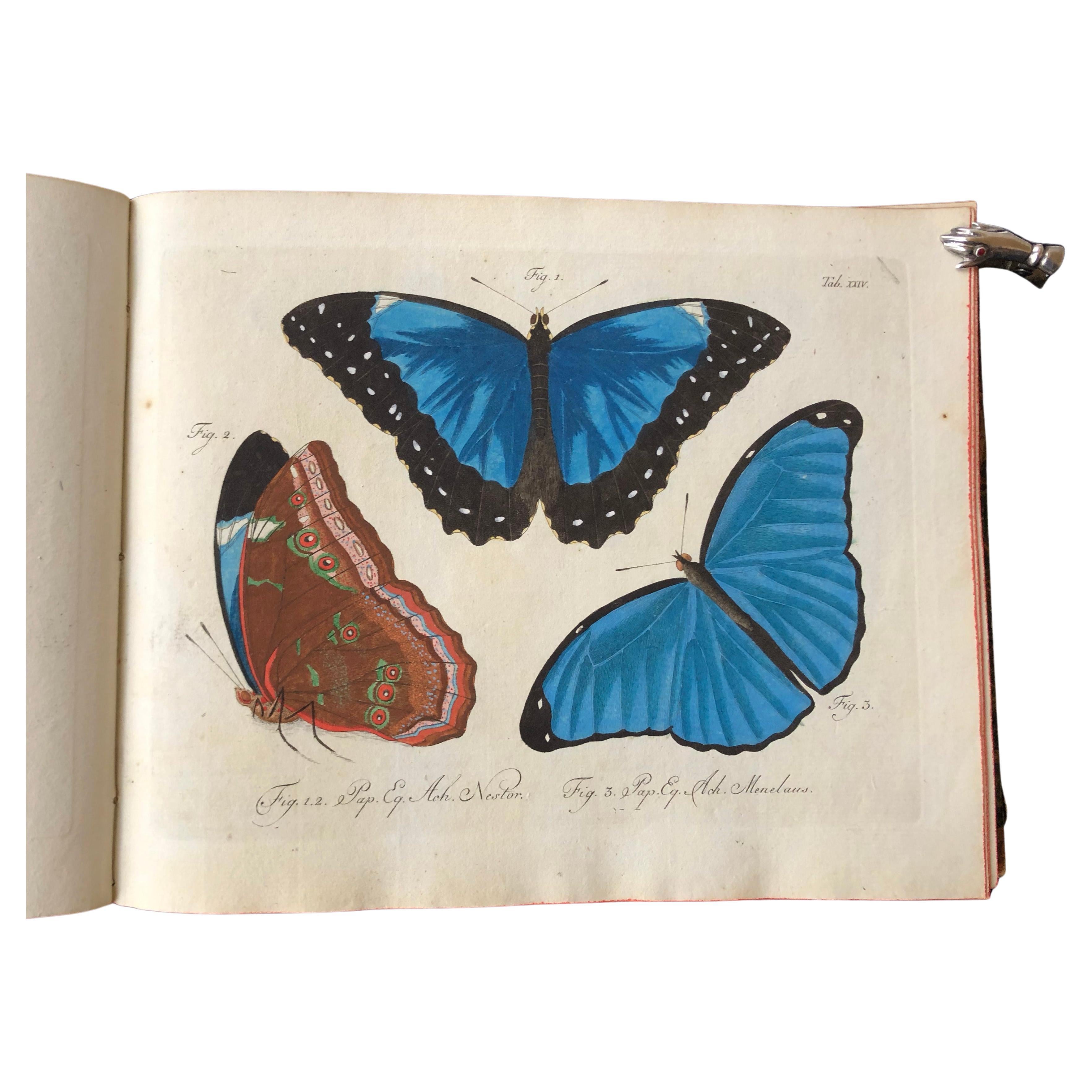 Schmetterlinge 'Butterflies' by Carl Gustav Jablonsky  & J.F.W. Herbst For Sale