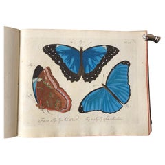 Butterflies de Schmetterlinge par Carl Gustav Jablonsky  et J.F.W. Herbst
