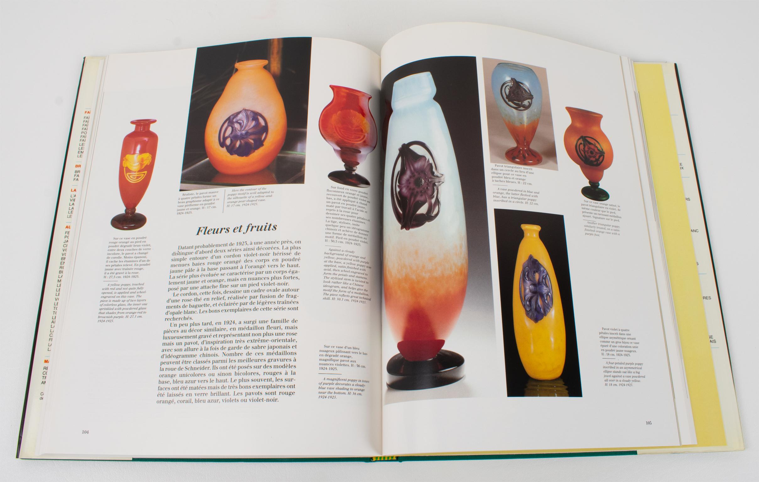 Carta Schneider Glass, Libro francese-inglese di Edith Mannoni, 1992 in vendita