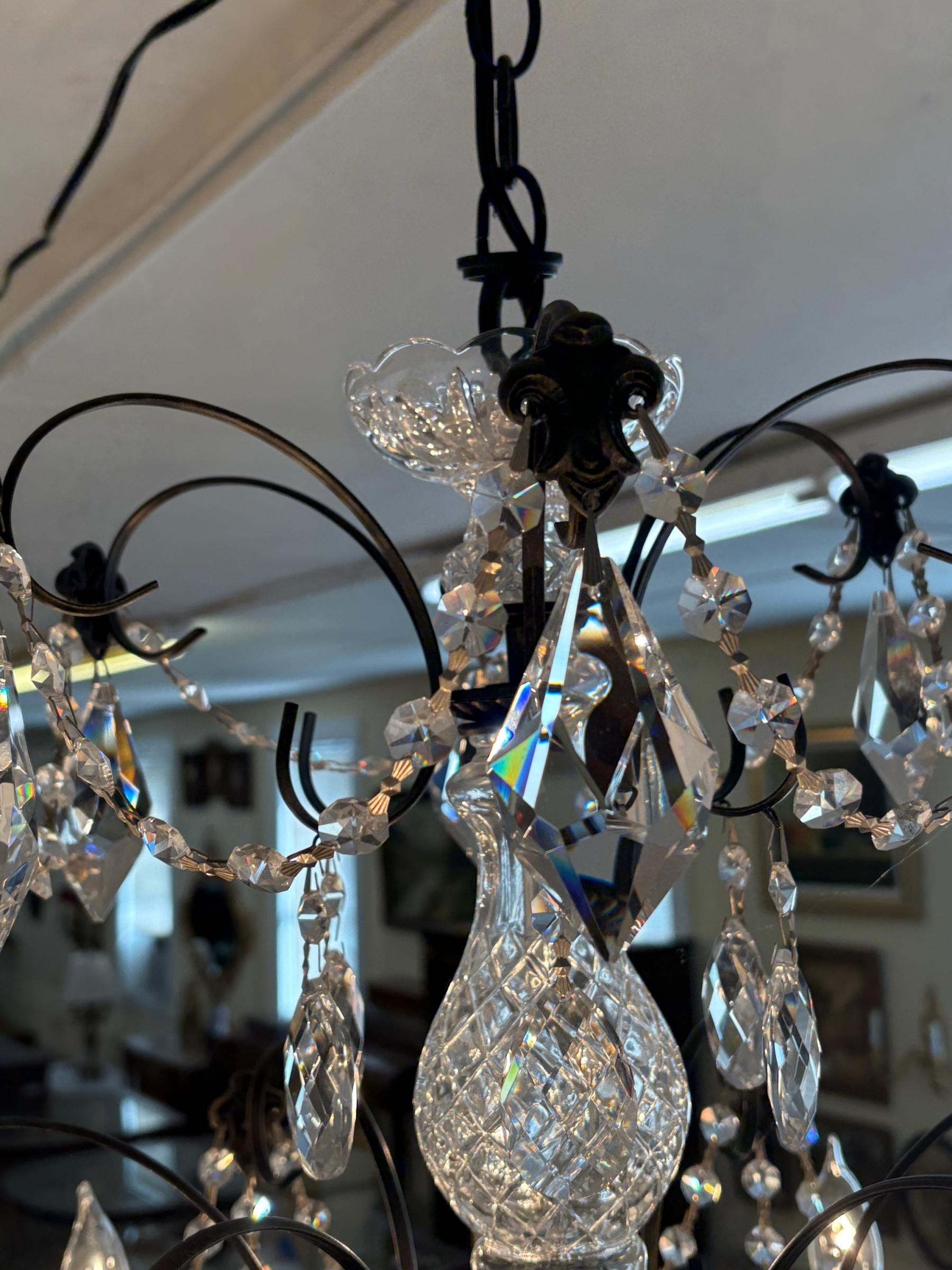 Schonbek 17124-76 Century 12 Light Black Frame Crystal Chandelier For Sale 3