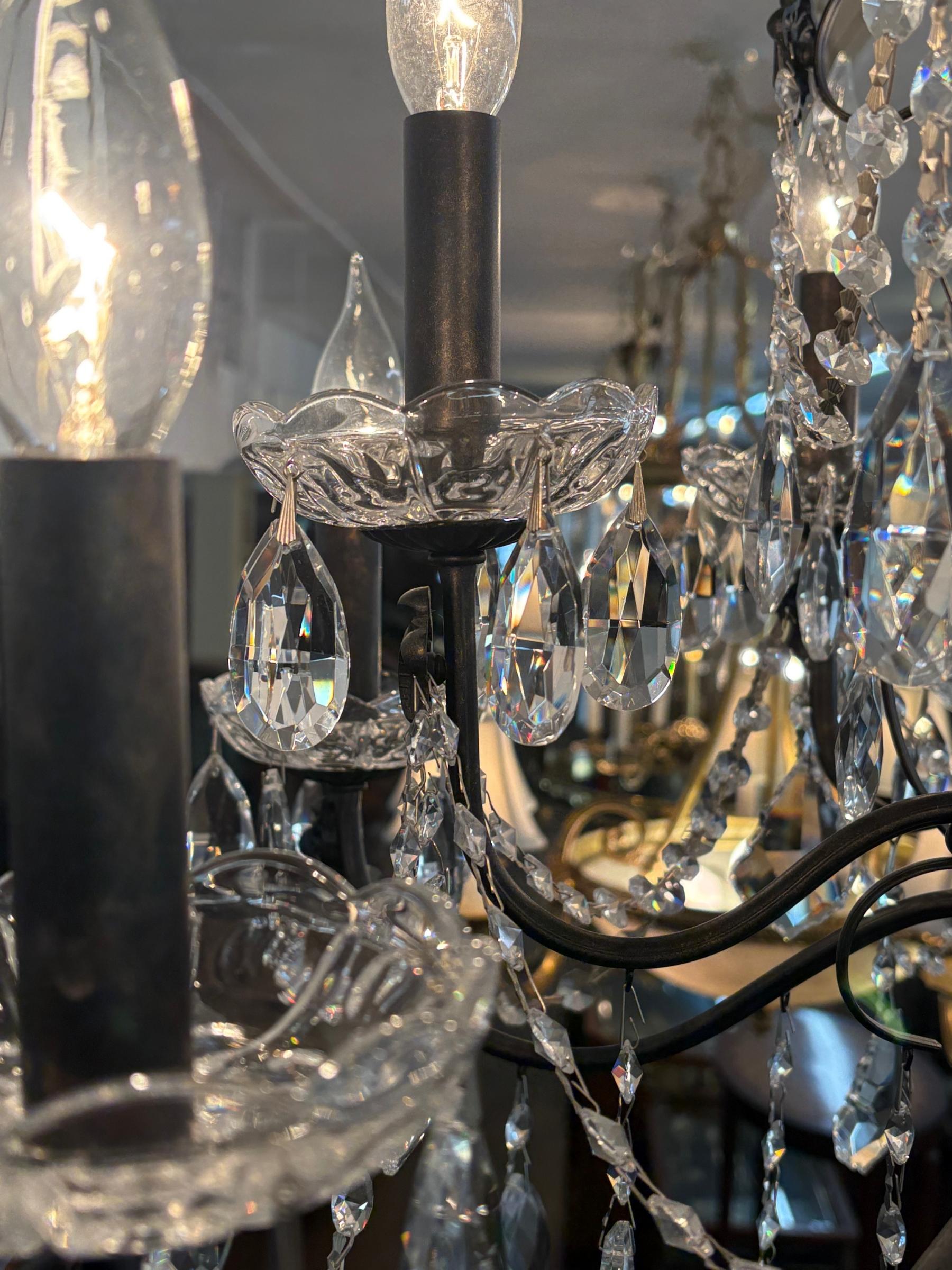 Schonbek 17124-76 Century 12 Light Black Frame Crystal Chandelier For Sale 5