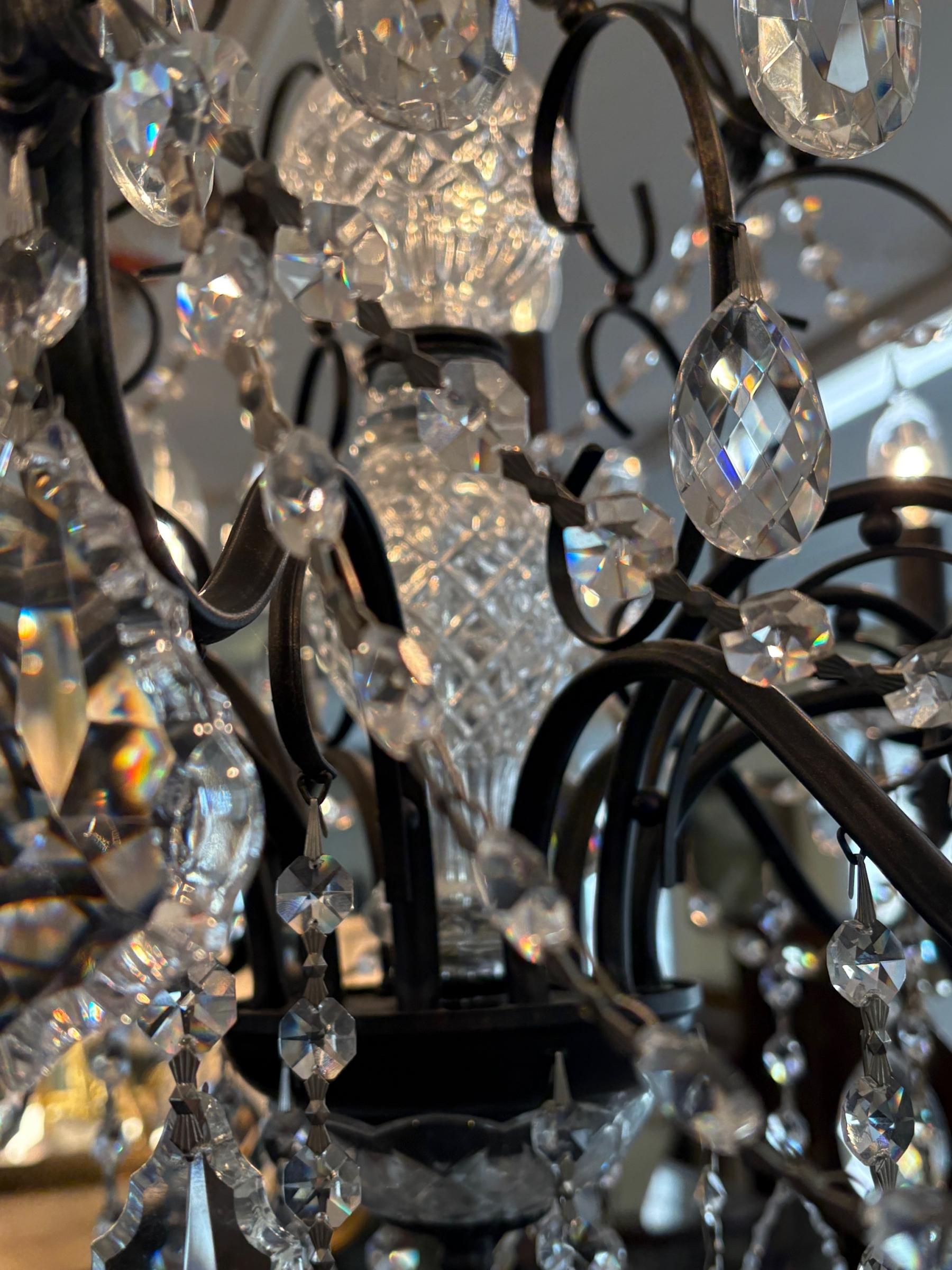 Schonbek 17124-76 Century 12 Light Black Frame Crystal Chandelier For Sale 6