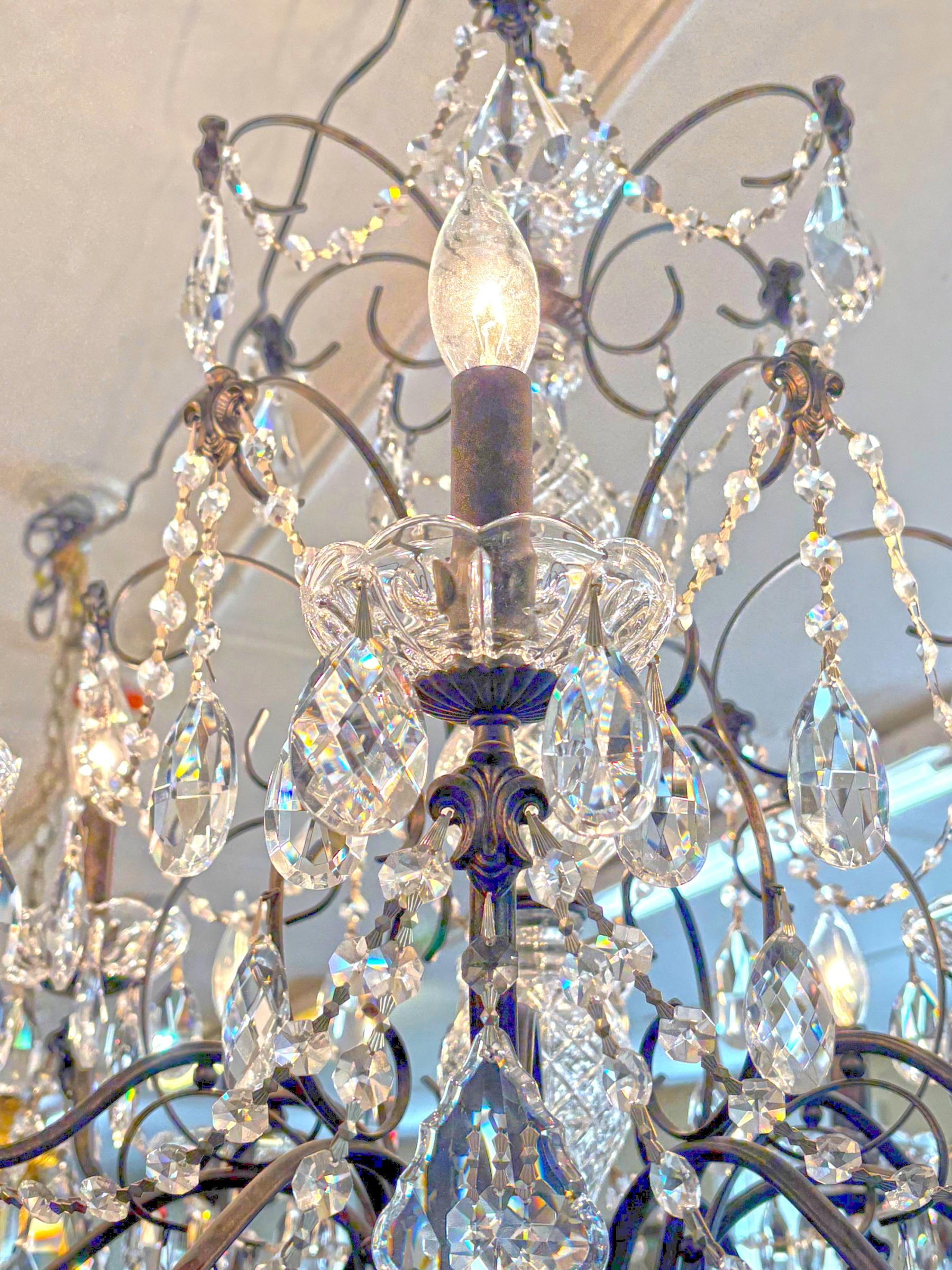 Metal Schonbek 17124-76 Century 12 Light Black Frame Crystal Chandelier For Sale