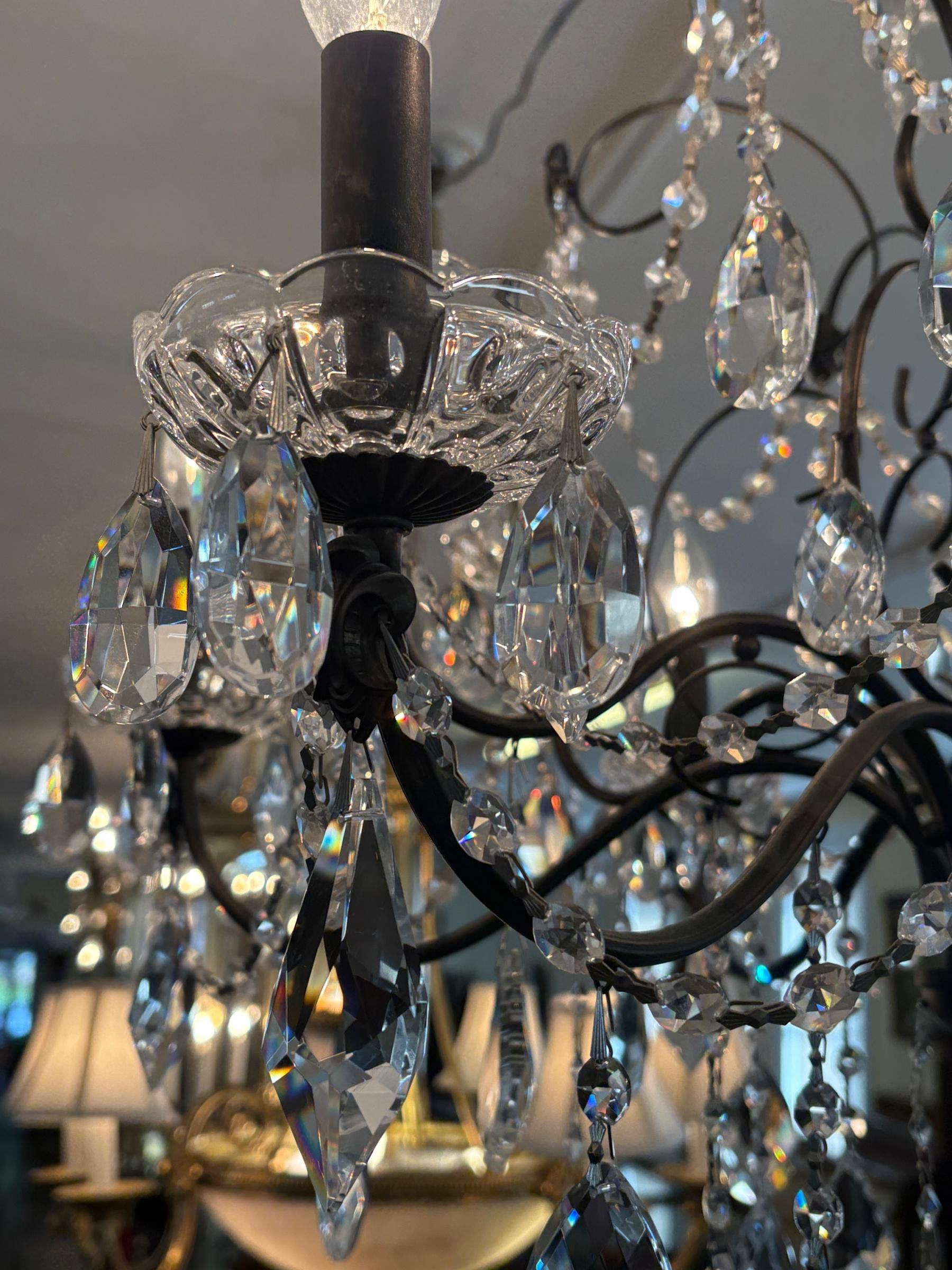 Schonbek 17124-76 Century 12 Light Black Frame Crystal Chandelier For Sale 1