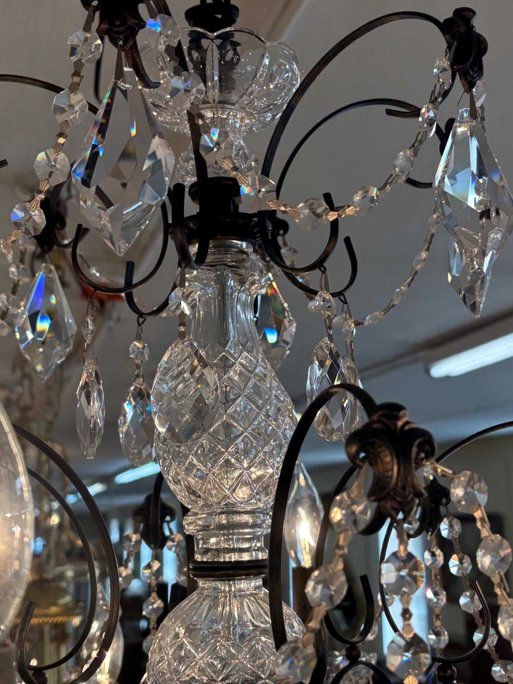 Schonbek 17124-76 Century 12 Light Black Frame Crystal Chandelier For Sale 2