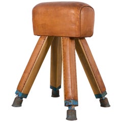 School Exercise Bench in Brown Leather