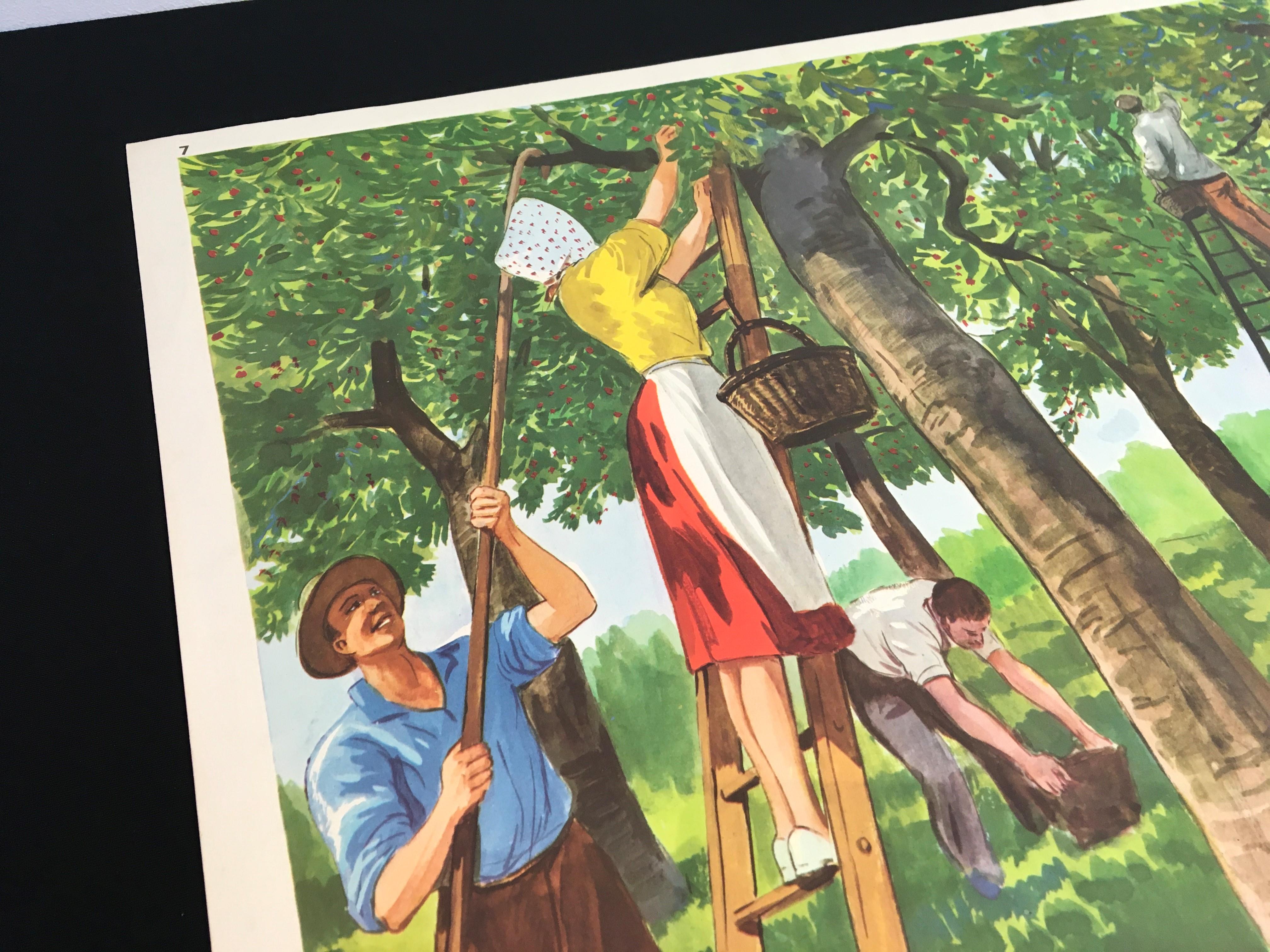French School Poster Picking Cherries in the Garden by Rossignol