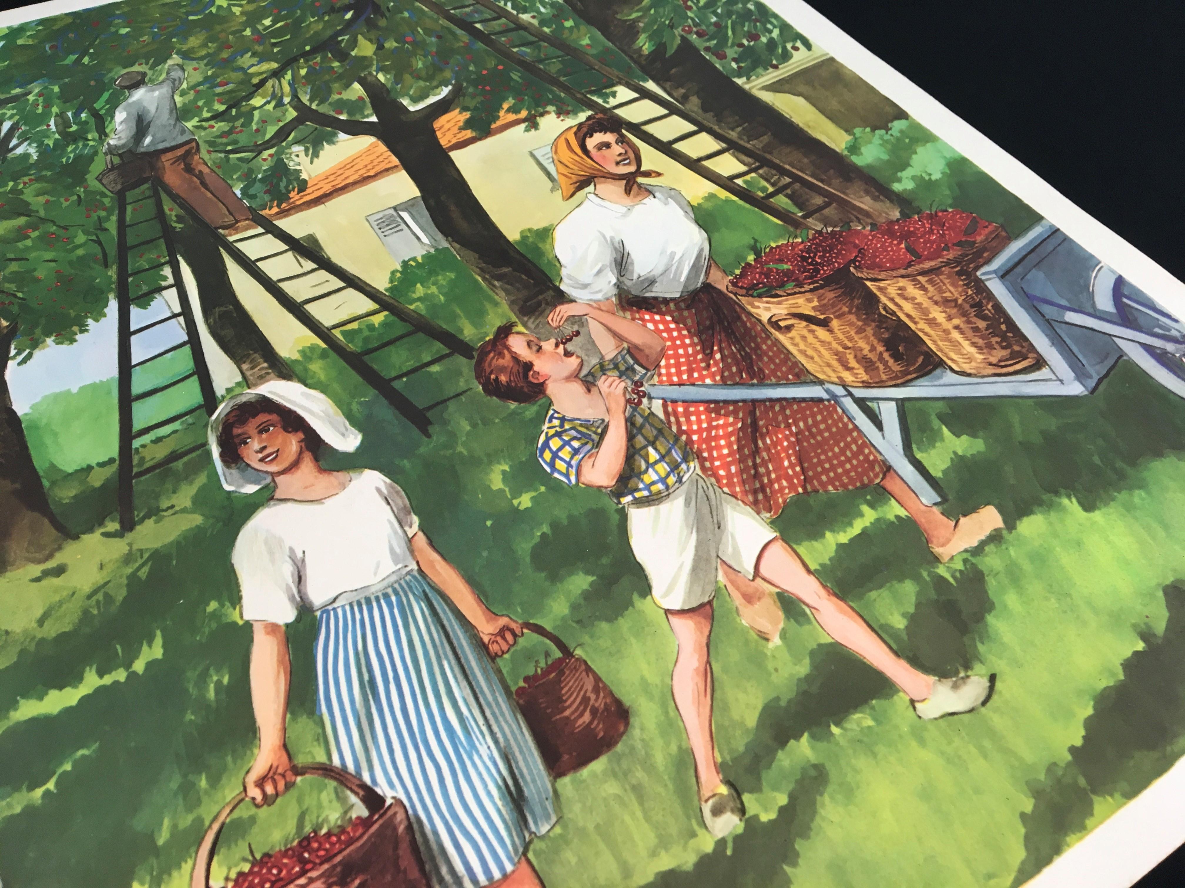 School Poster Picking Cherries in the Garden by Rossignol In Good Condition In Antwerp, BE