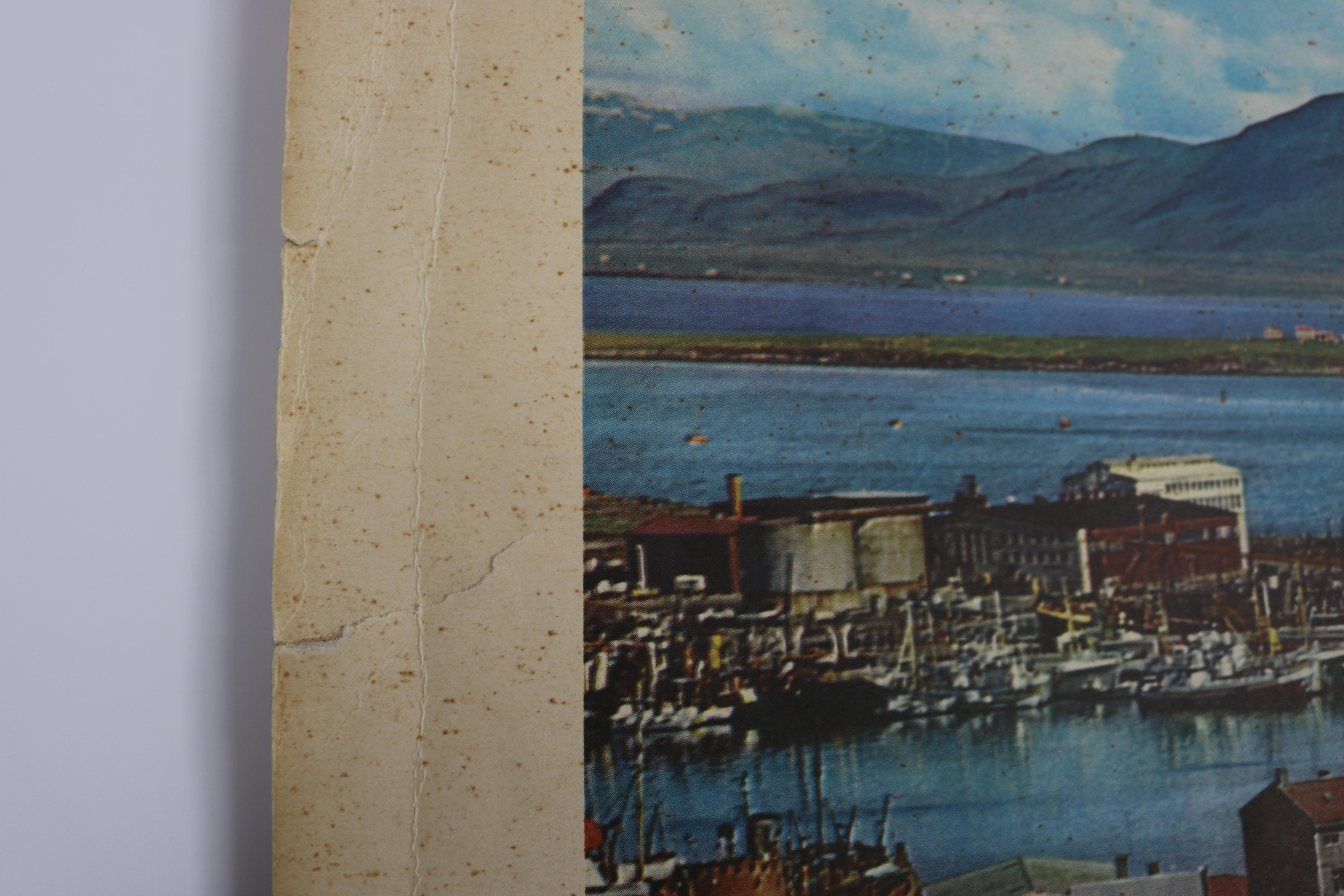School Wall Chart Reykjavik (IS) City and Port For Sale 4