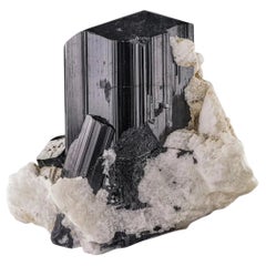 Cristal de turmalina negra brillante Schorl sobre matriz de albita procedente de Afganistán