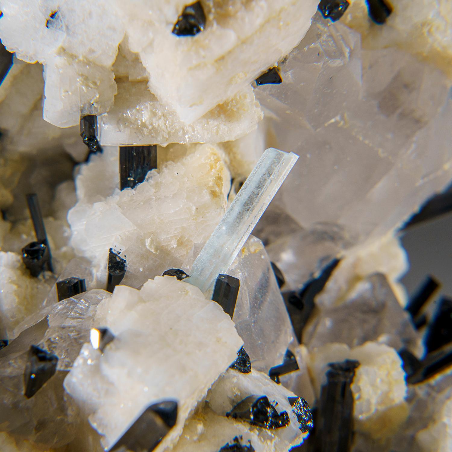 From Shigar Valley, Shigar District, Gilgit-Baltistan, Pakistan

Aesthetic cluster of white albite with several blue aquamarine crystals running through the middle. The aquamarine crystal is flawless internally and has microscopic patterns on the