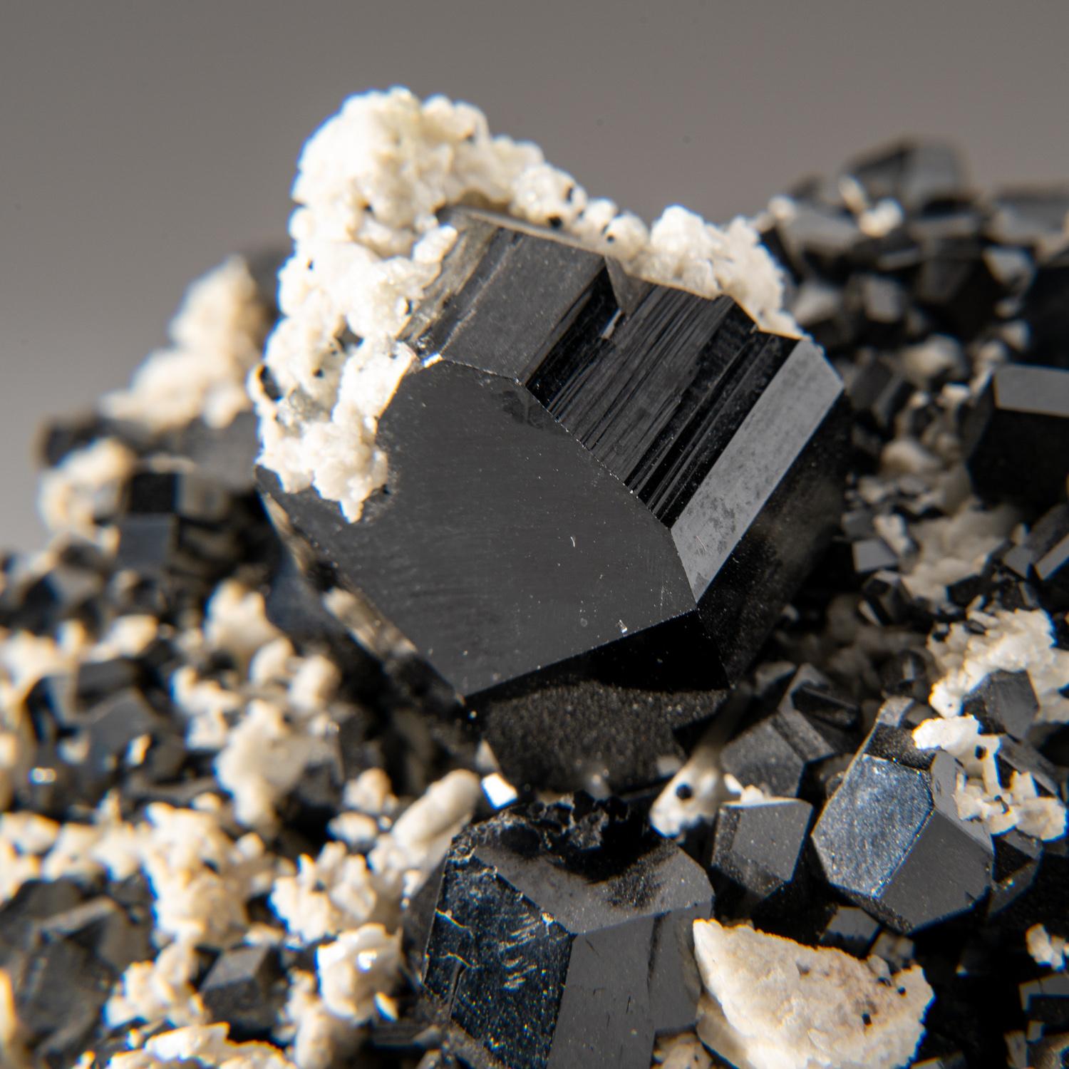 From Chhaqpu, Braldu Valley, Skardu District, Gilgit-Baltistan, Pakistan

Many interconnected crystals of black schorl tourmaline in  matrix of stark white albite. The tourmaline crystals with three-faced pyramidal terminations and striated prism