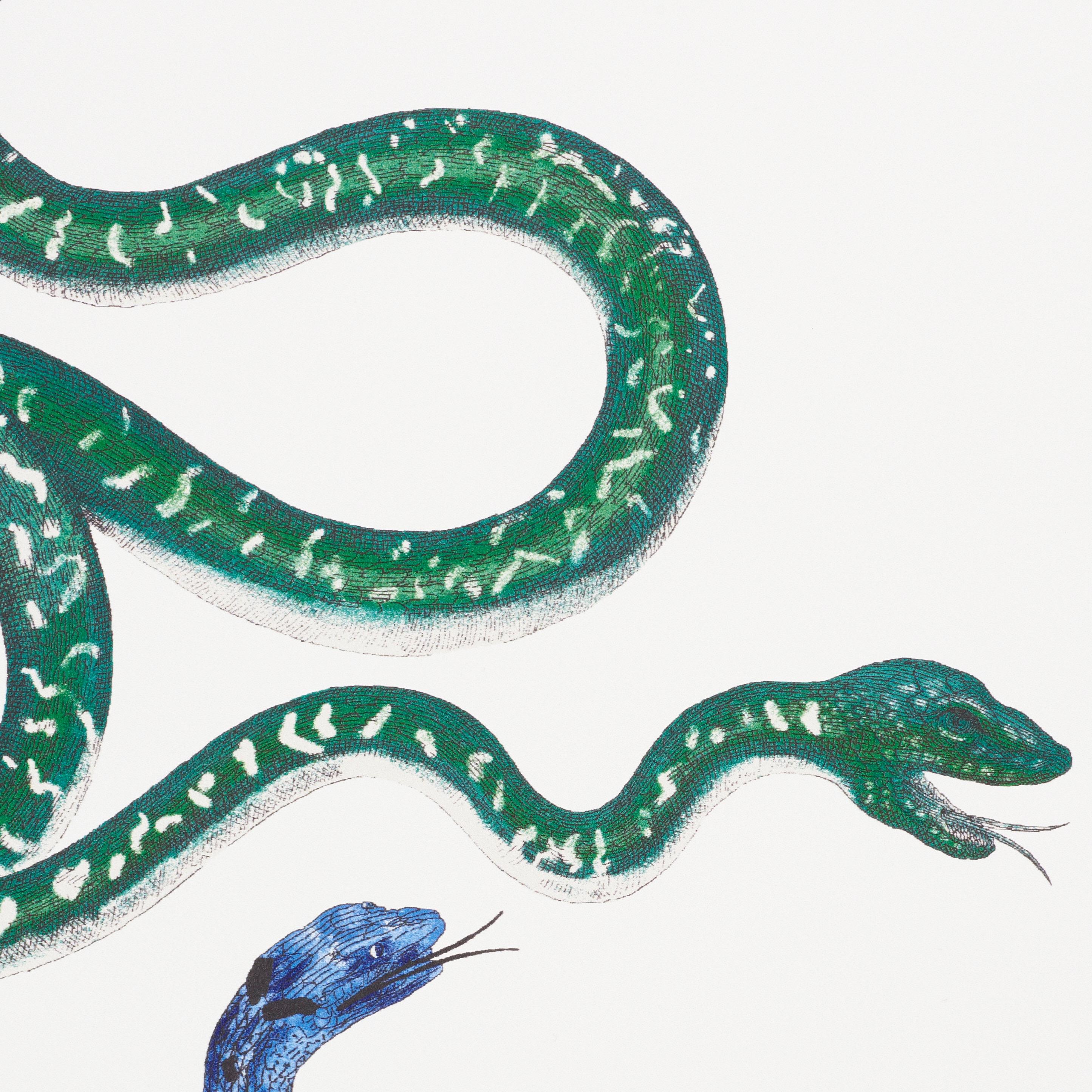 With its cascade of hand-drawn, intertwining snakes, Giove invokes one of the oldest mythological symbols.

Since Schumacher was founded in 1889, our family-owned company has been synonymous with style, taste, and innovation. A passion for luxury