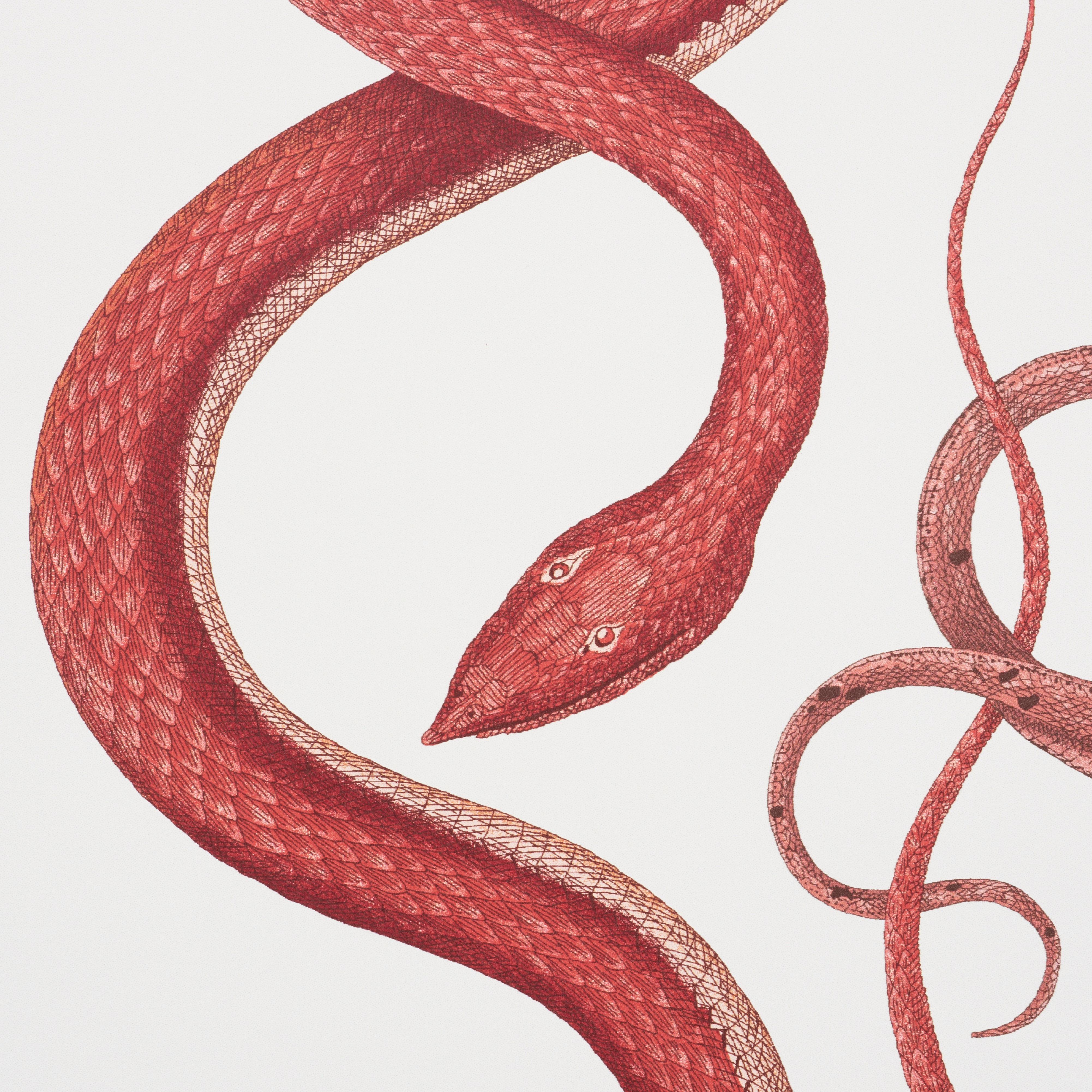 With its Cascade of hand-drawn, intertwining snakes, Giove invokes one of the oldest mythological symbols.

Since Schumacher was founded in 1889, our family-owned company has been synonymous with style, taste, and innovation. A passion for luxury