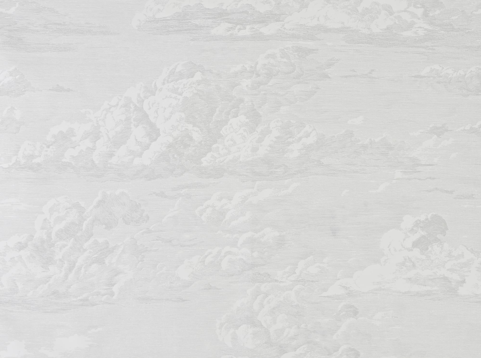 Modern Schumacher Cloud Toile Wallpaper in Quartz For Sale