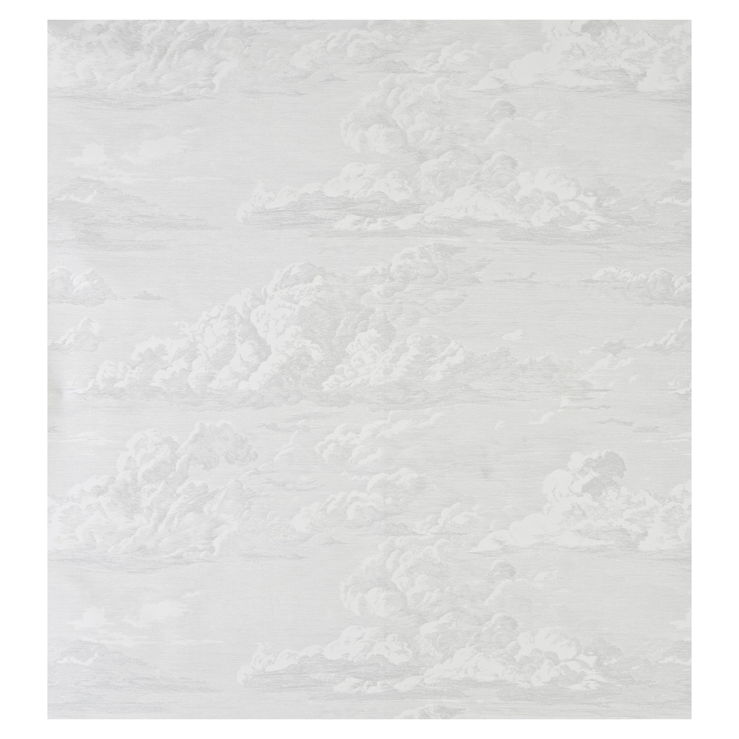 Schumacher Cloud Toile Wallpaper in Quartz For Sale