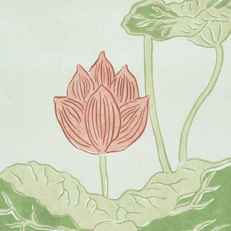 Americano Schumacher Kireina Carta da parati Lotus in Avorio Corallo in vendita