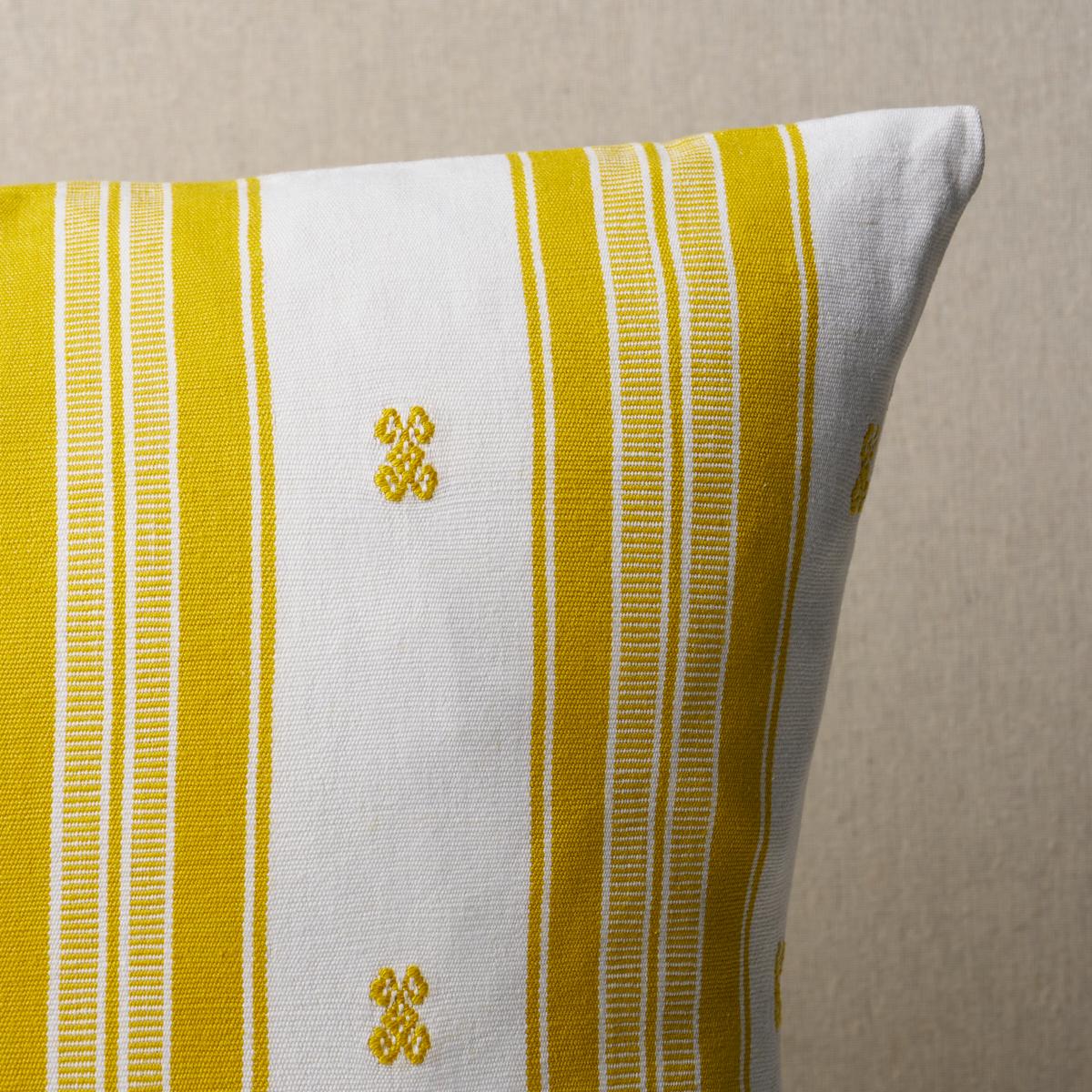 Mexican Panthelo Pillow 20 