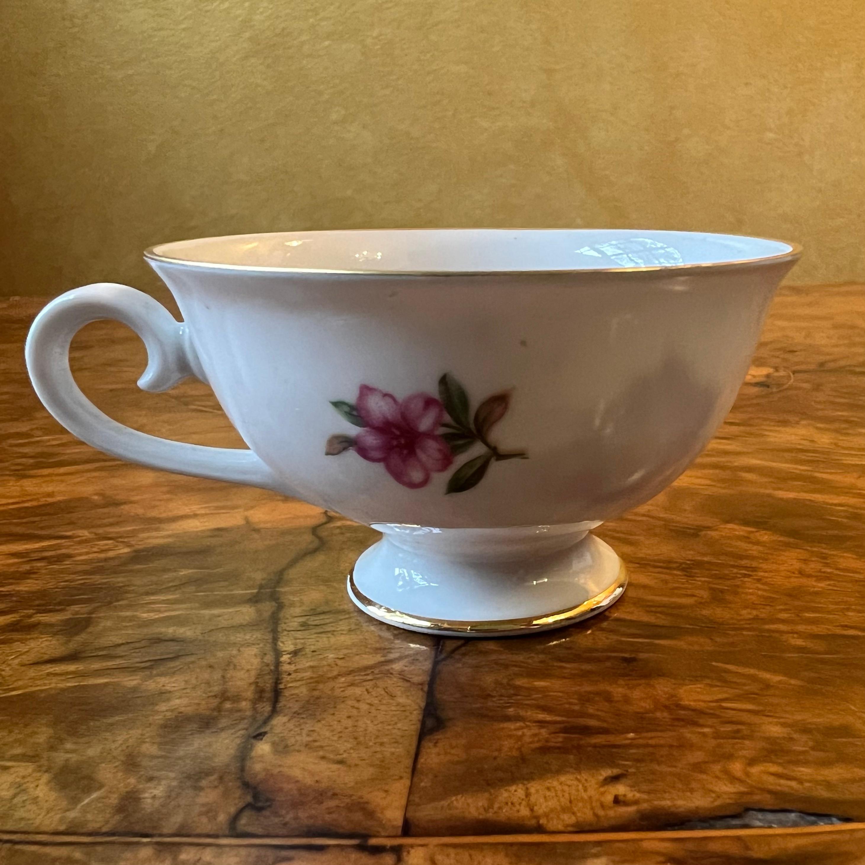 Porcelain Schuman Arzbery Floral Coffee Cup & Saucer For Sale