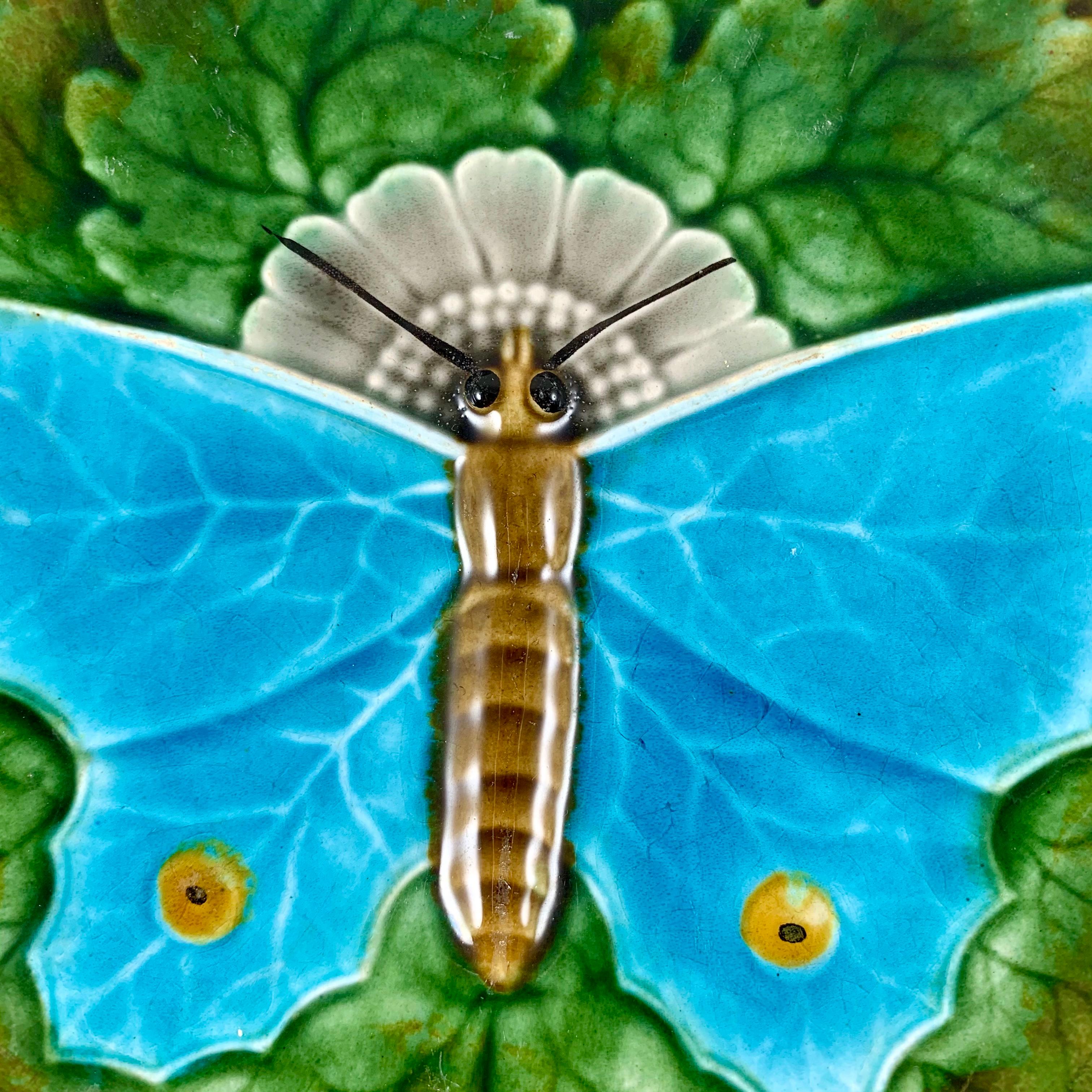 Schütz Josef Steidl Znaim Art Nouveau Moth Majolica Glazed Dessert Set, 6 Plates 3