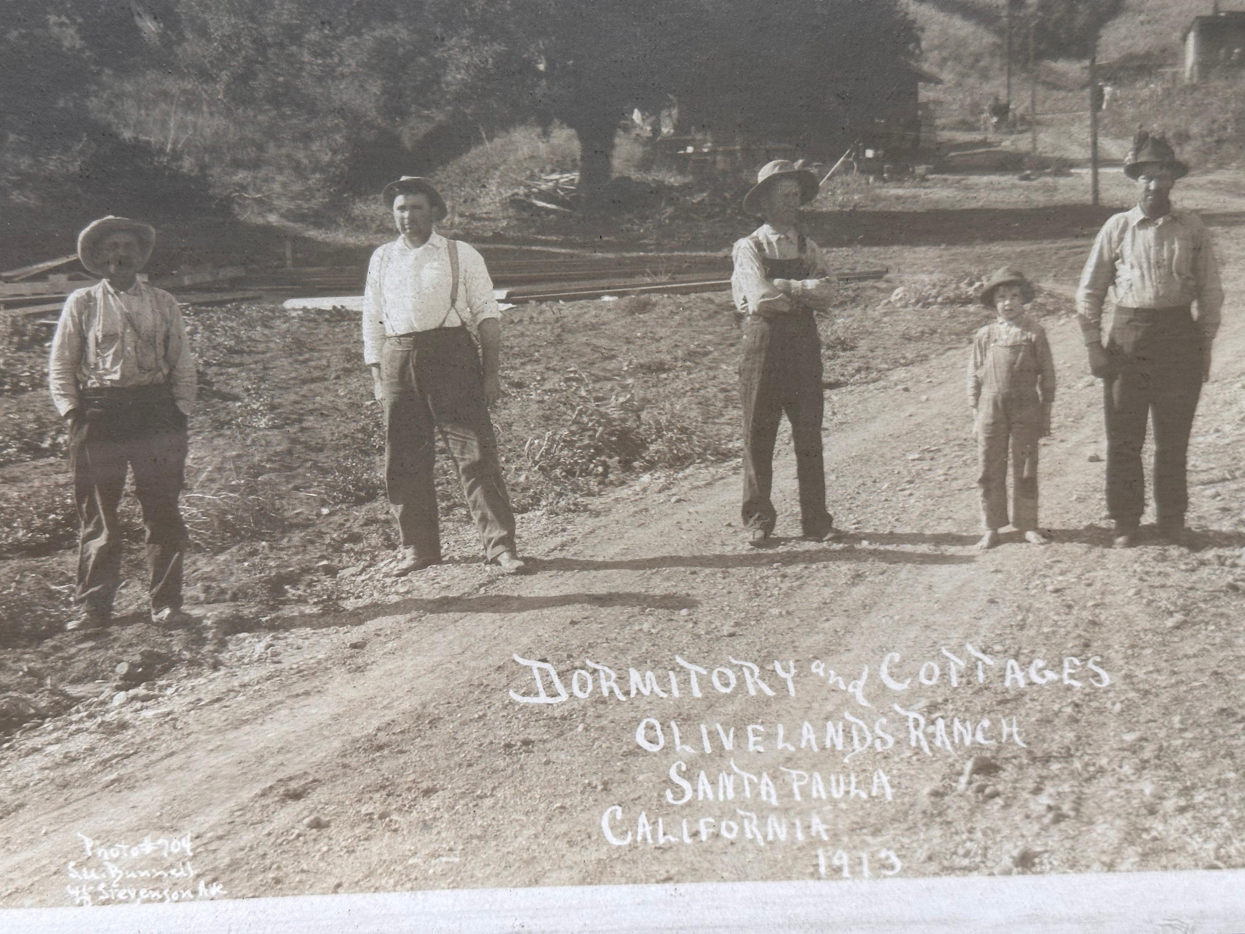 Olivelands Limoneira Ranch 1913 Antique Photograph Santa Paula CA For Sale 3