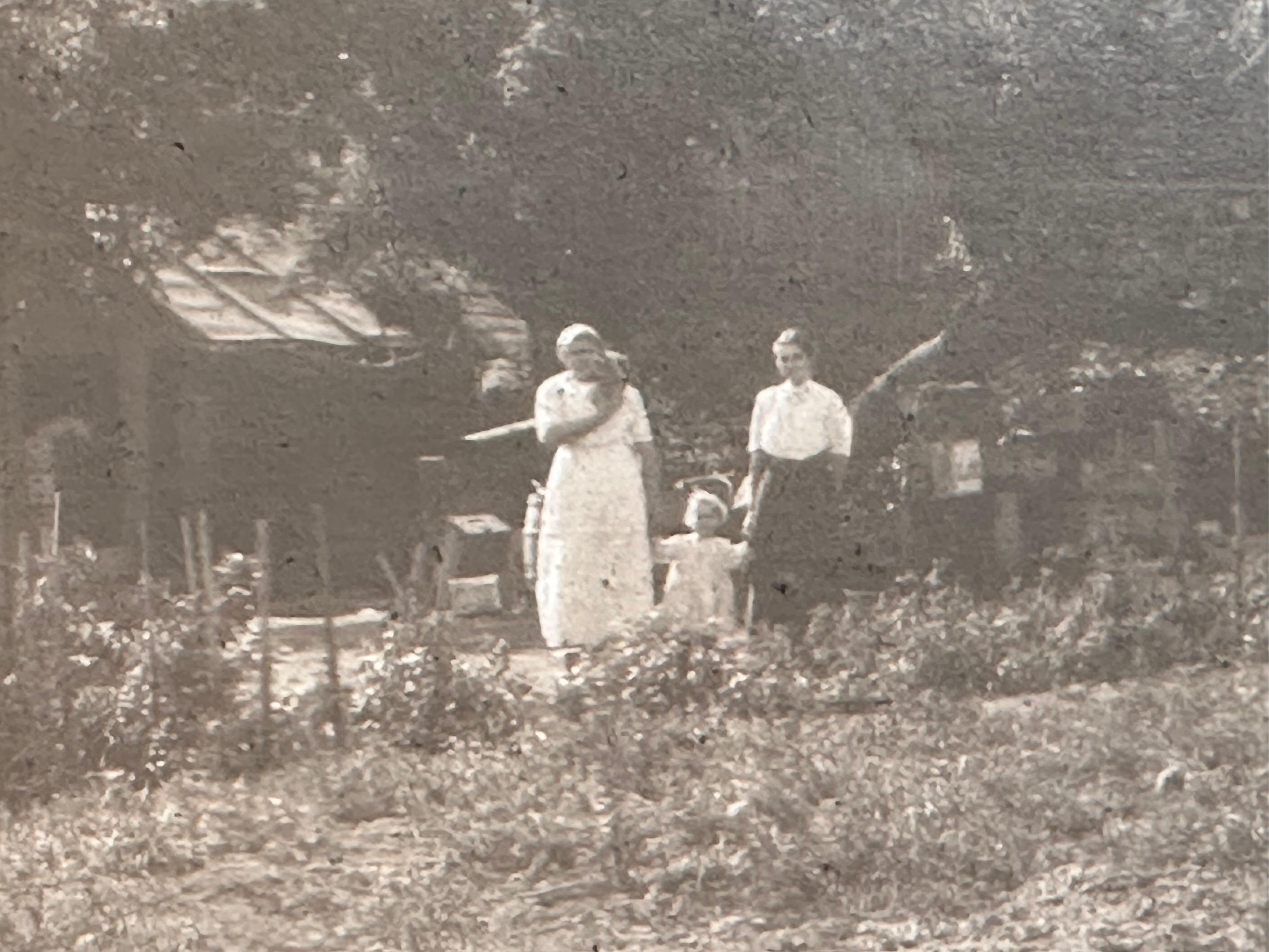 Olivelands Limoneira Ranch 1913 Antique Photograph Santa Paula CA For Sale 5