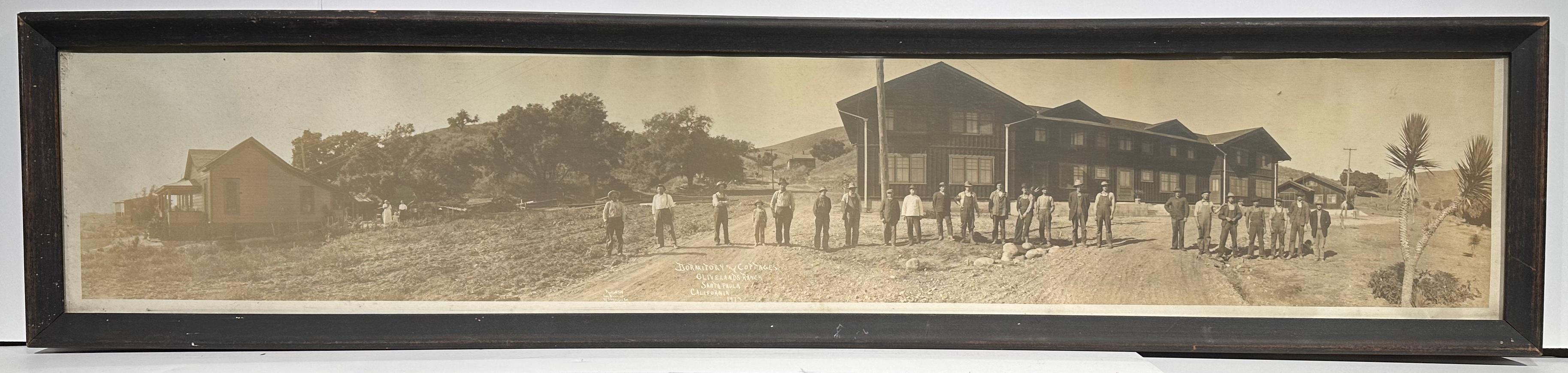 Photographie ancienne du ranch Limoneira de Santa Paula CA, en olivelands, 1913